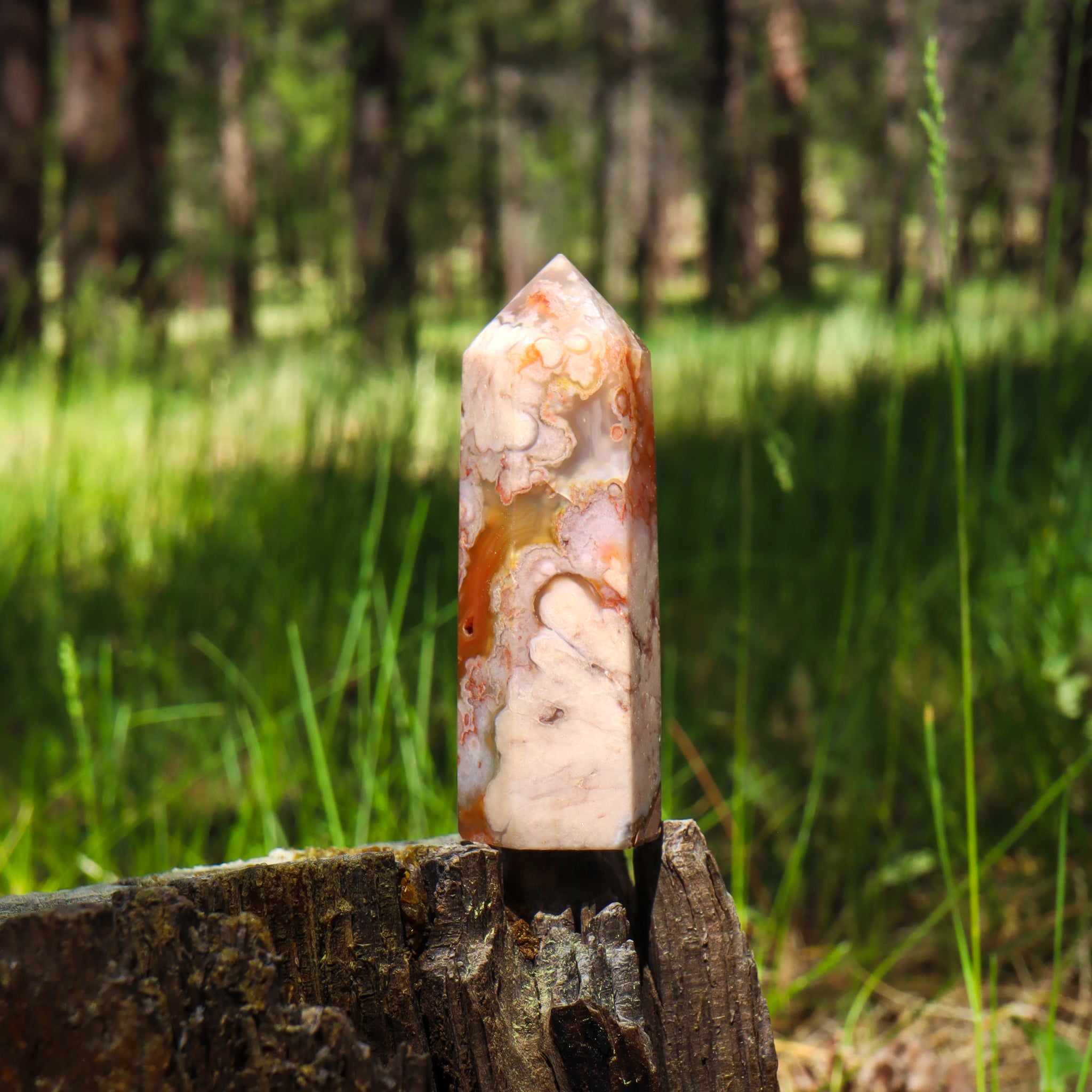 Flower Agate Point