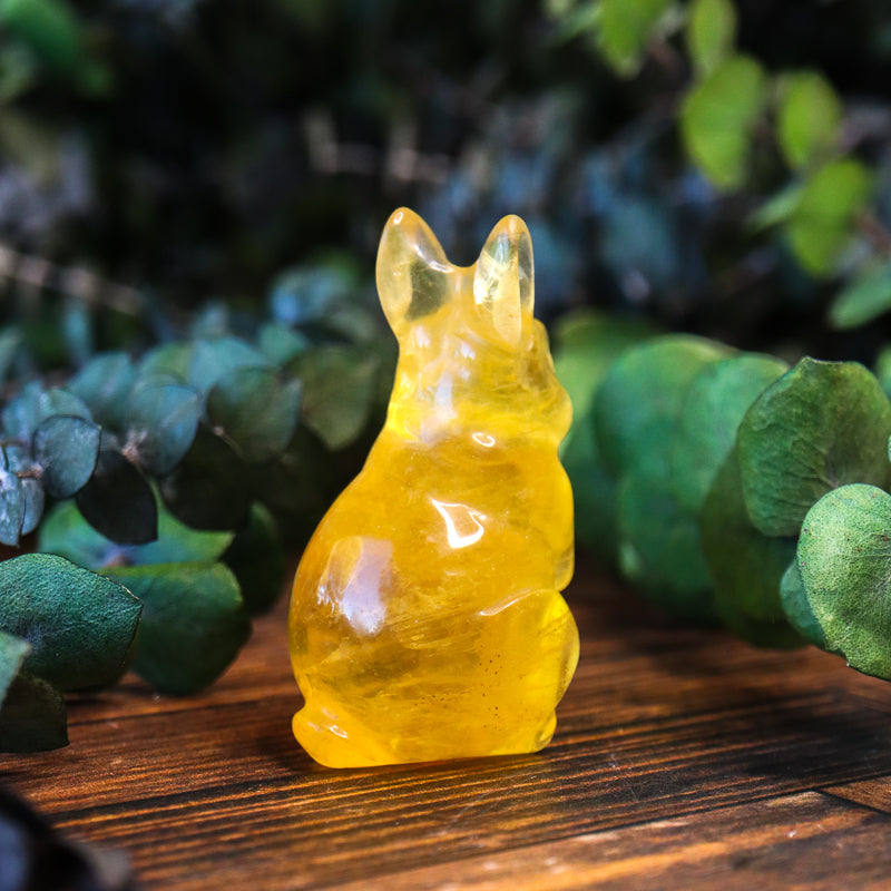 Fluorite Carved Rabbit