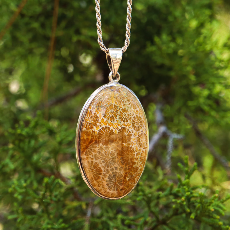 Fossilized Coral Oval Pendant