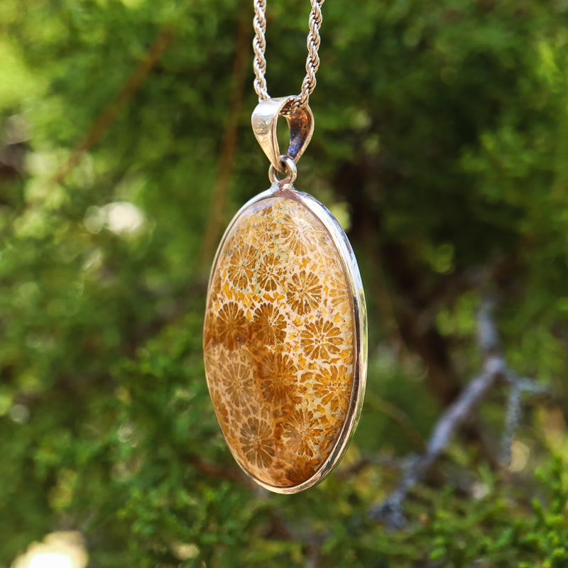 Fossilized Coral Oval Pendant