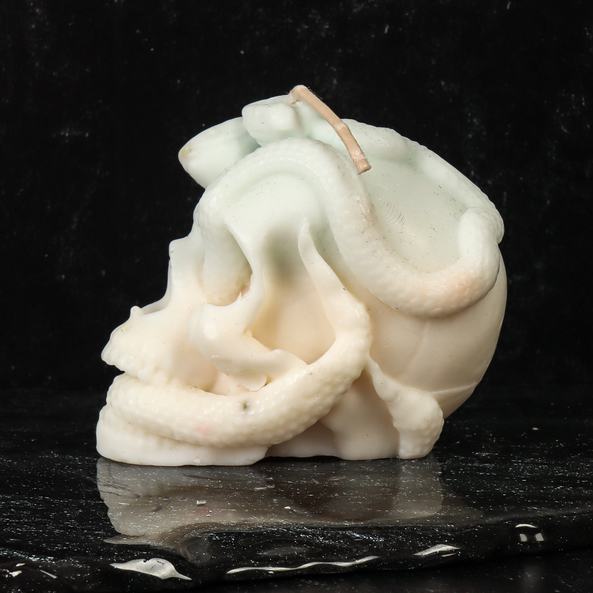 Glow in the Dark Skull with Serpents Candle