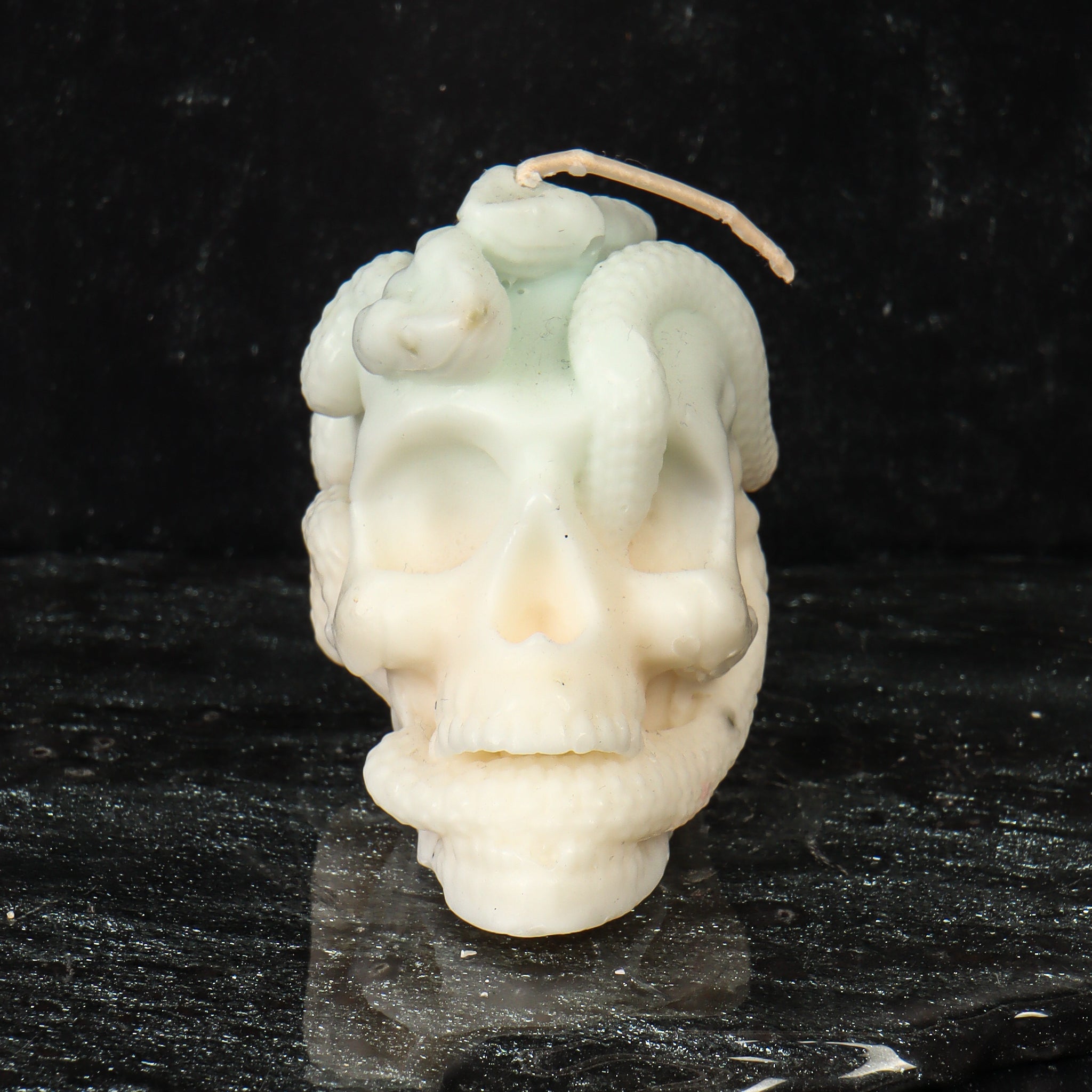 Glow in the Dark Skull with Serpents Candle