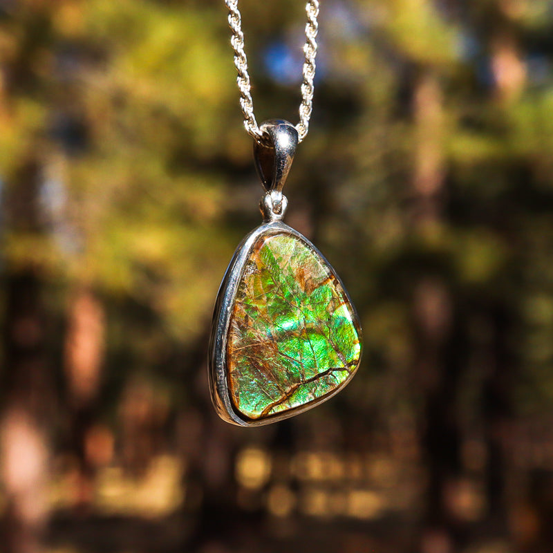 Ammolite Pendant