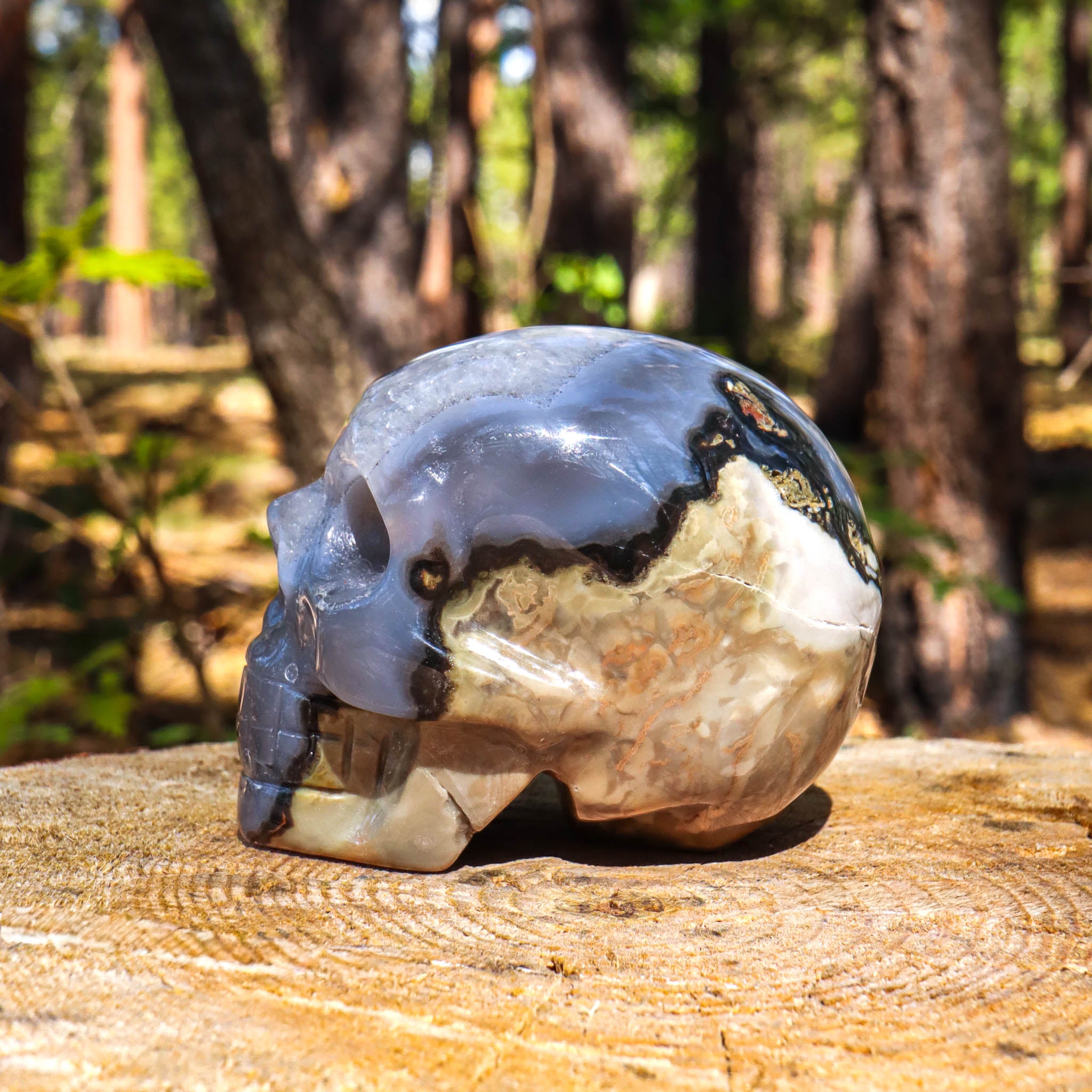 Gray Banded Agate Skull
