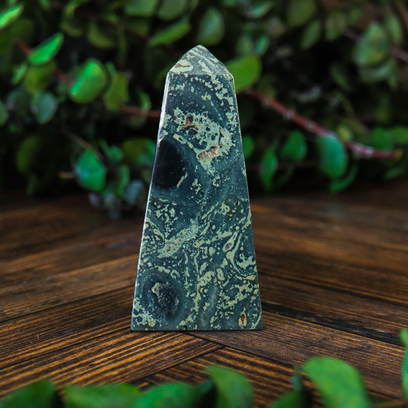 Kambaba Jasper Obelisk