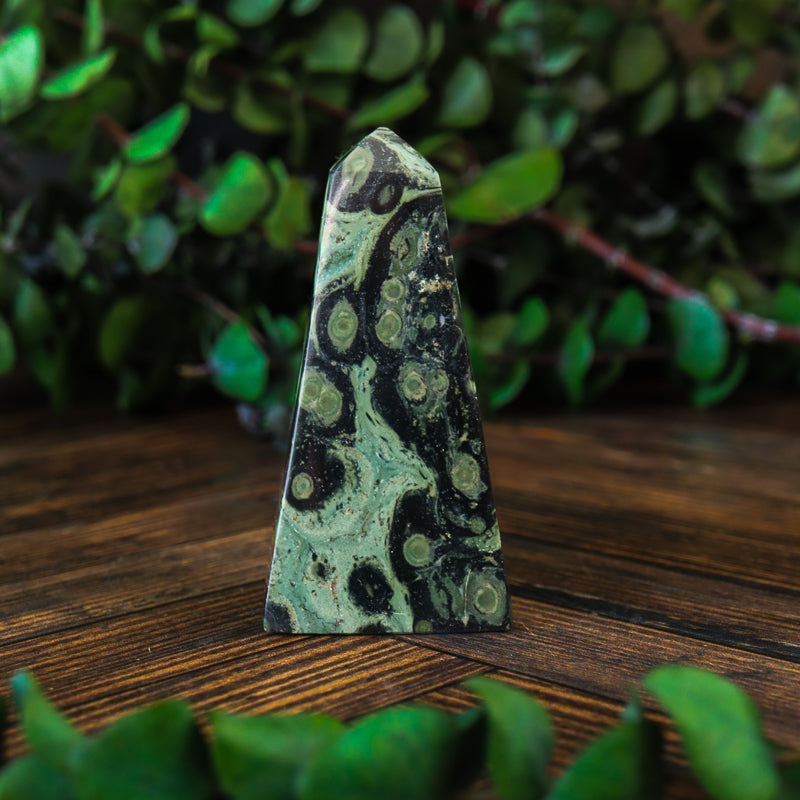 Kambaba Jasper Obelisk