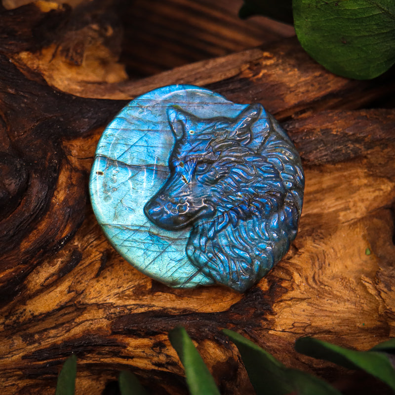 Labradorite Carved Wolf