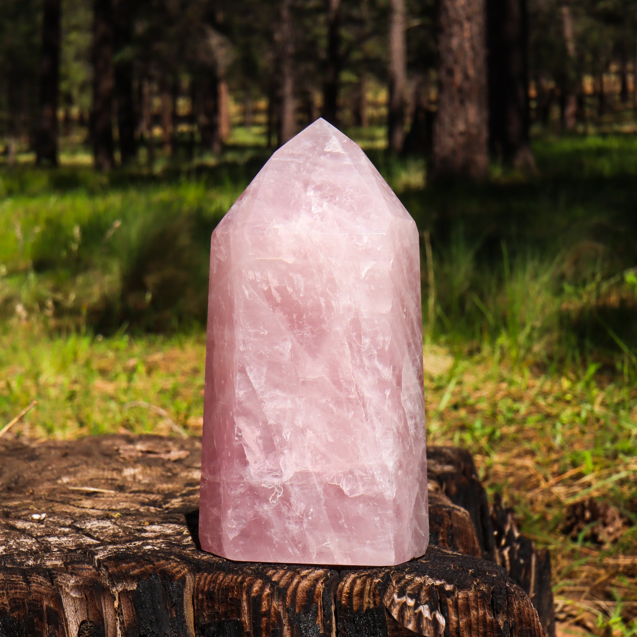 Large Rose Quartz Point