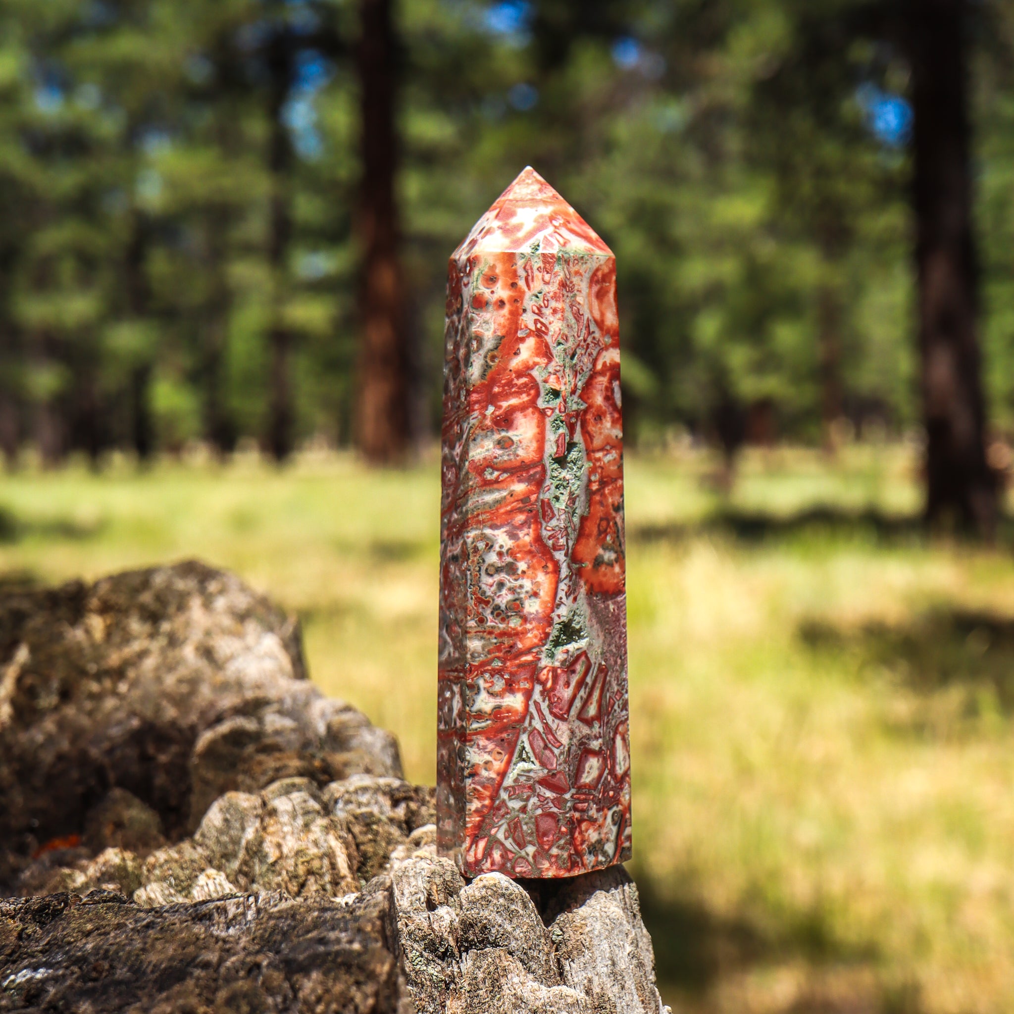 Leopard Skin Jasper Point