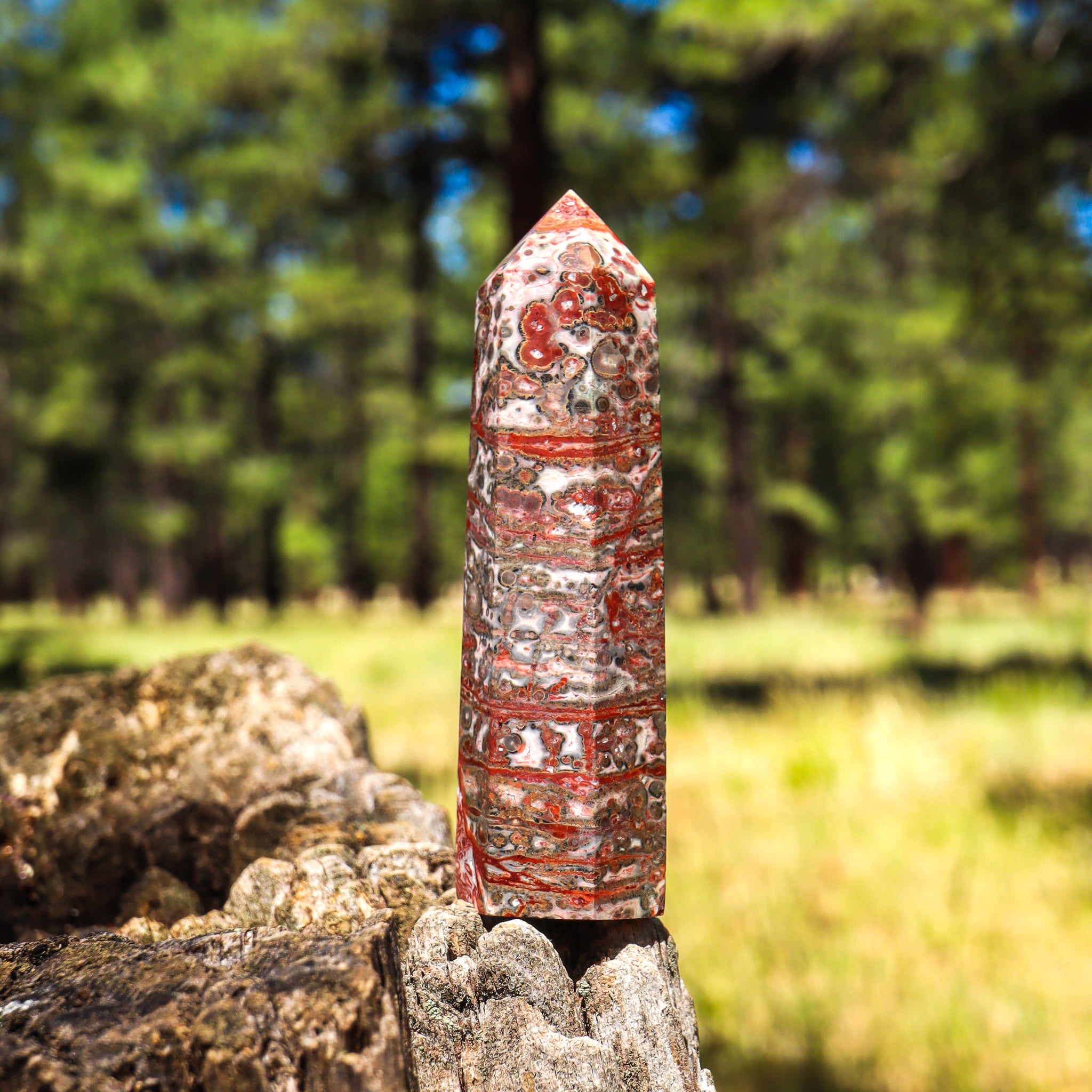 Leopard Skin Jasper Point
