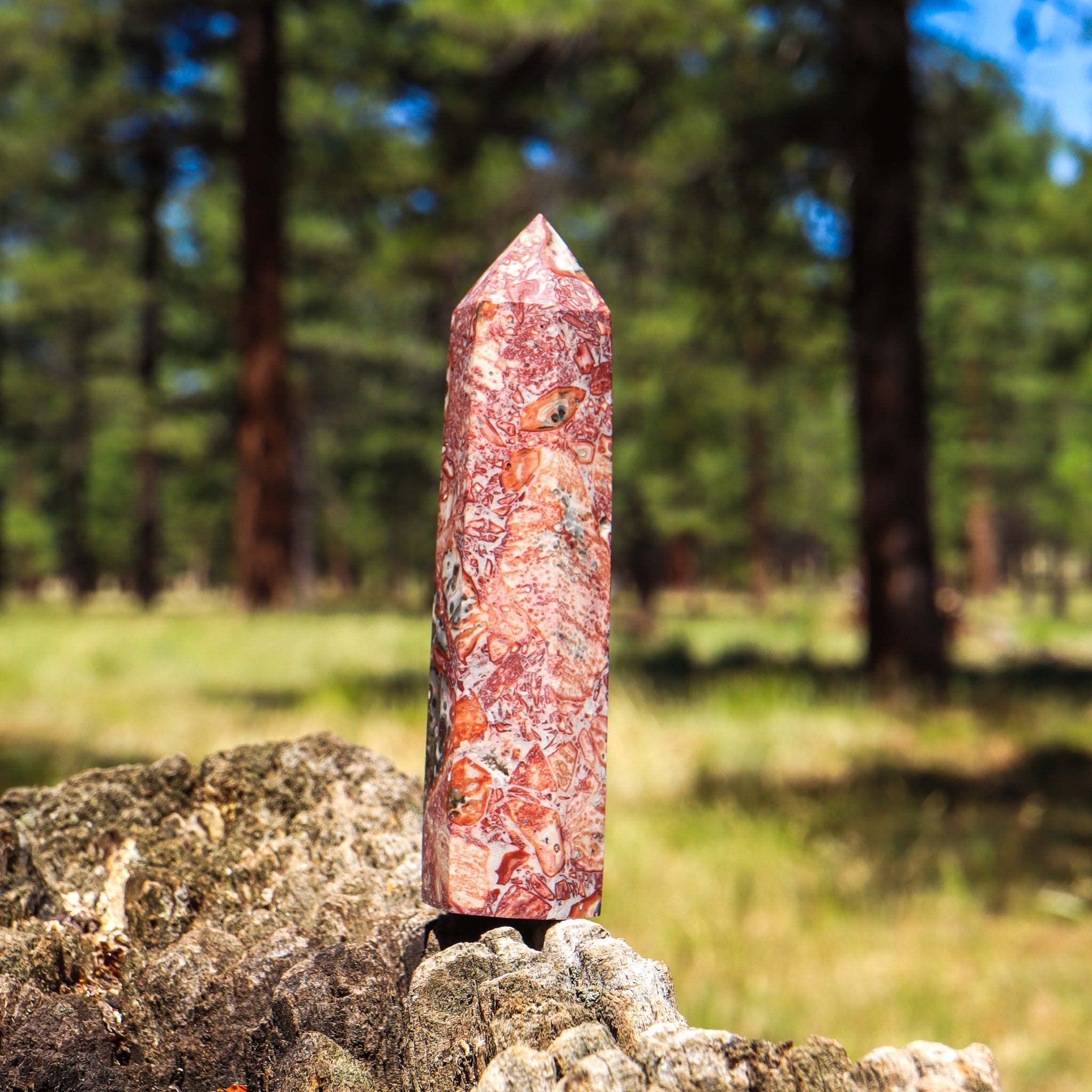 Leopard Skin Jasper Point