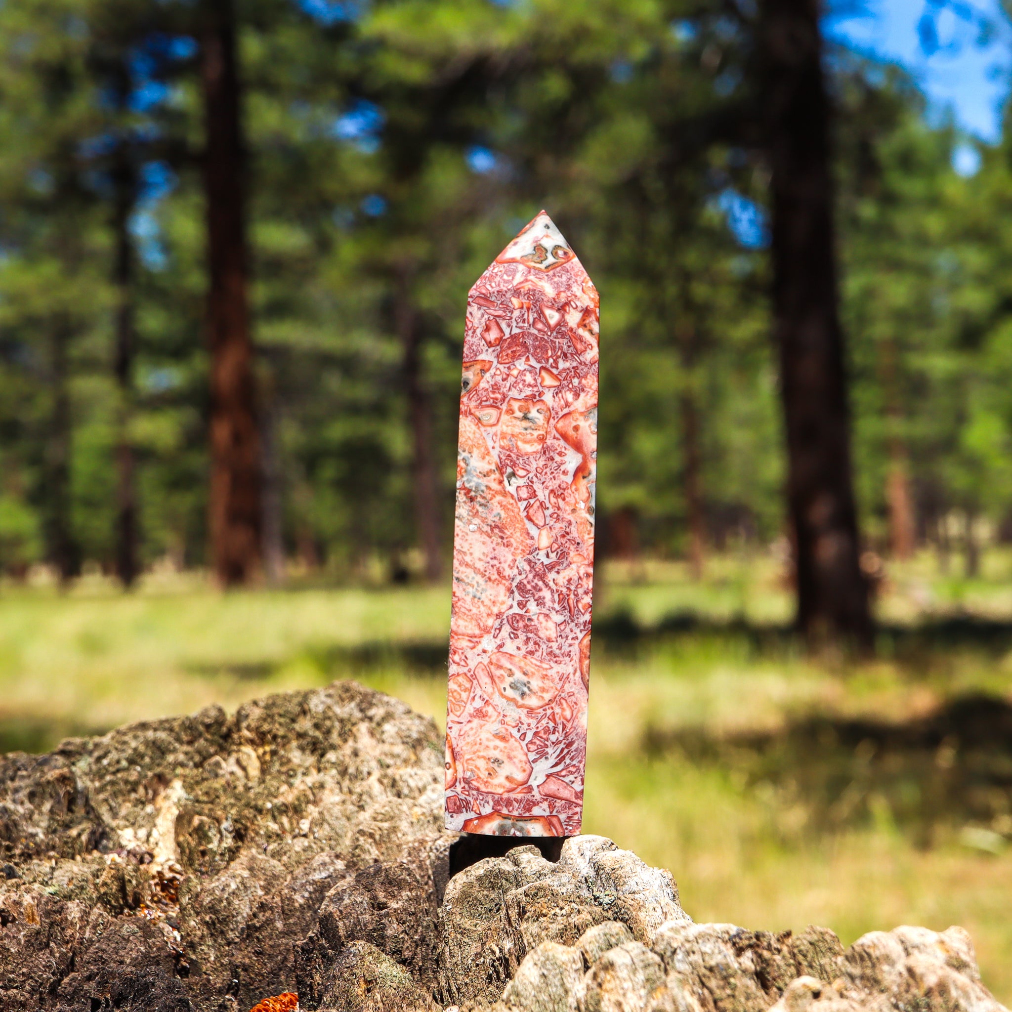 Leopard Skin Jasper Point