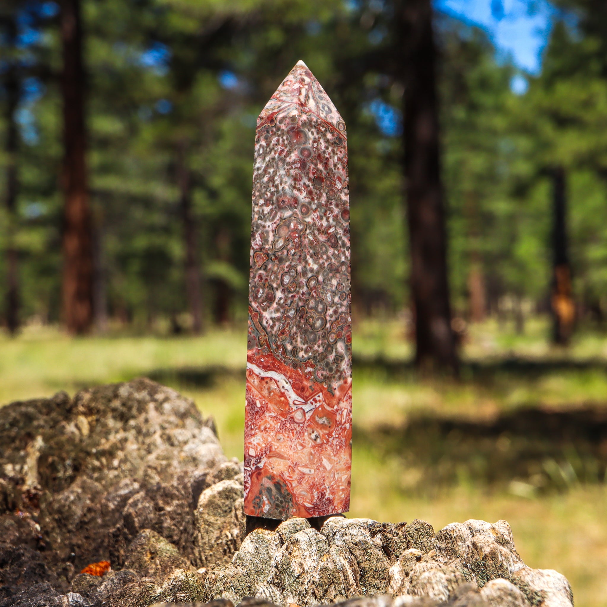 Leopard Skin Jasper Point