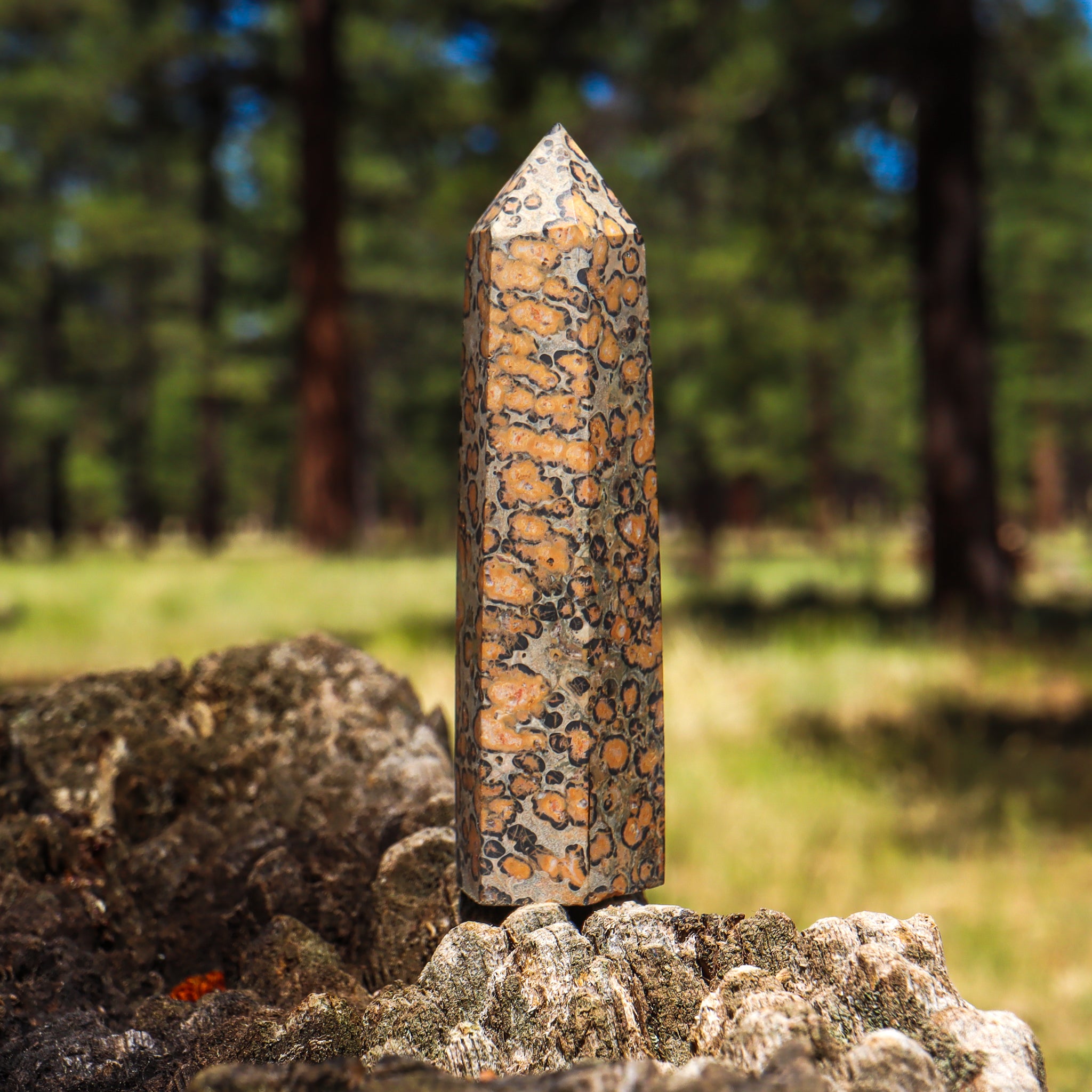 Leopard Skin Jasper Point