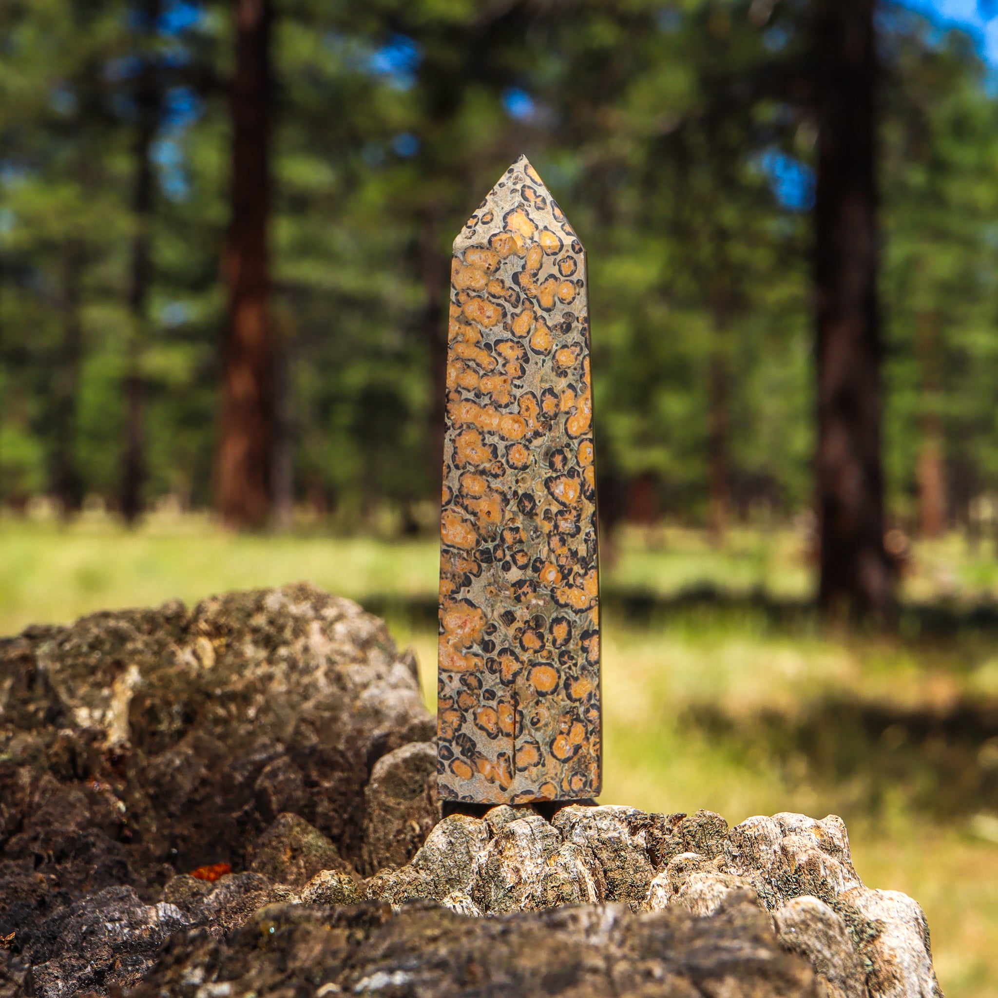 Leopard Skin Jasper Point