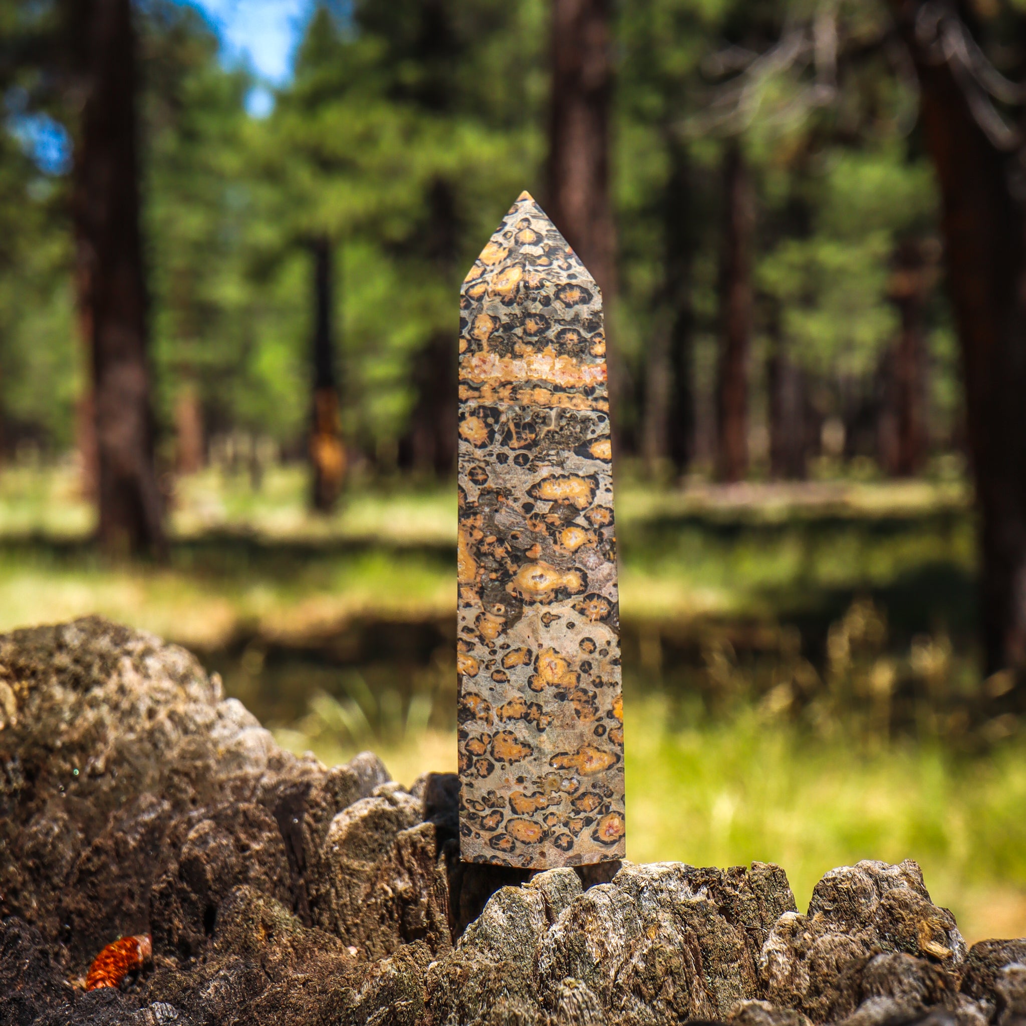 Leopard Skin Jasper Point