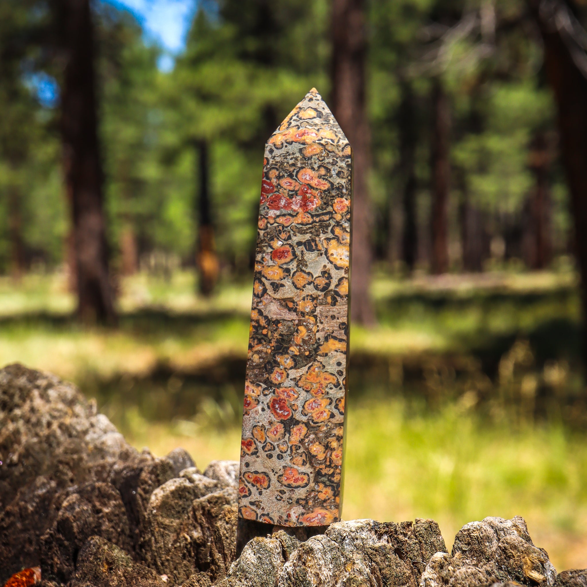 Leopard Skin Jasper Point