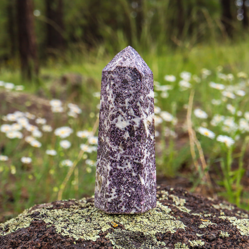 Lepidolite Point