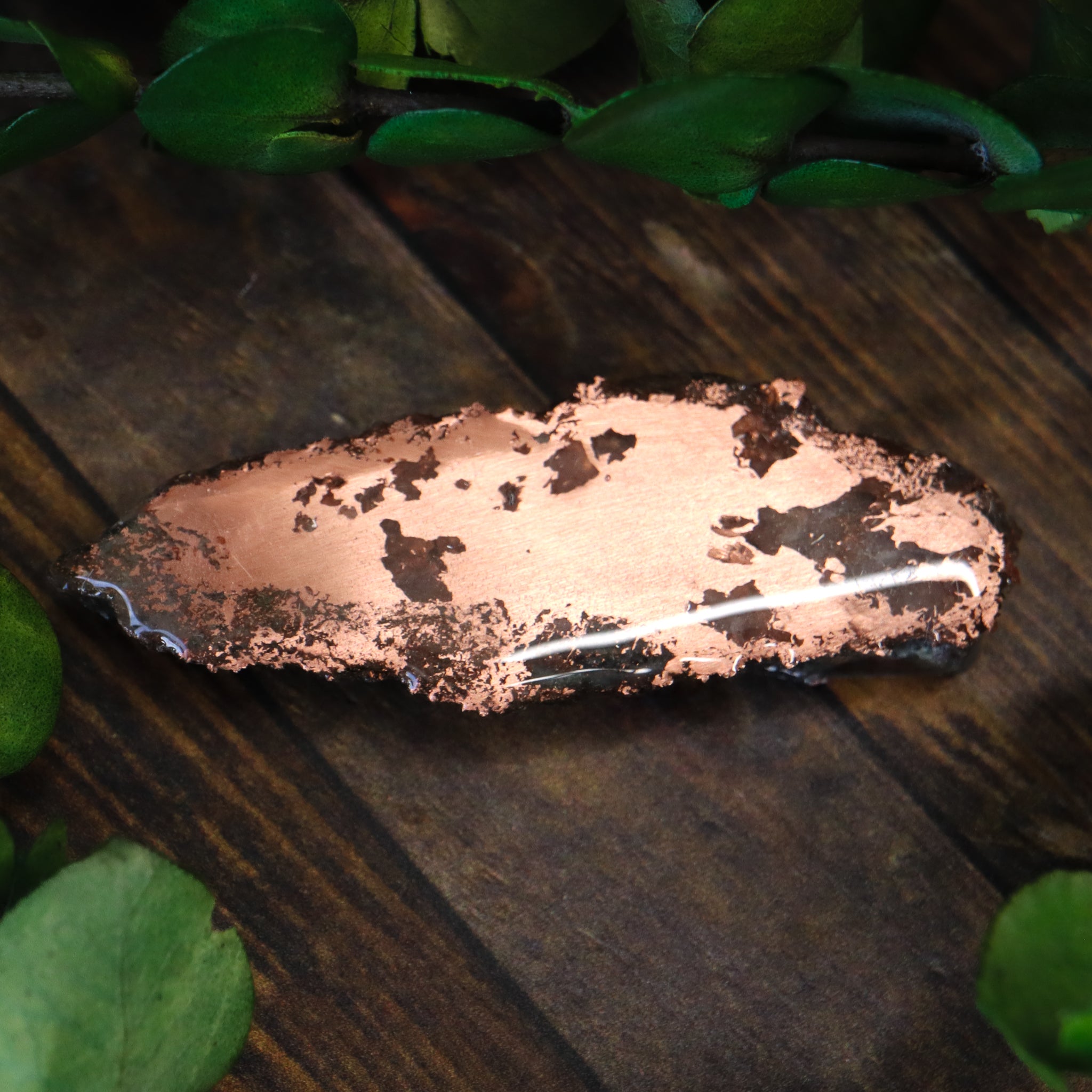Michigan Native Copper Slice
