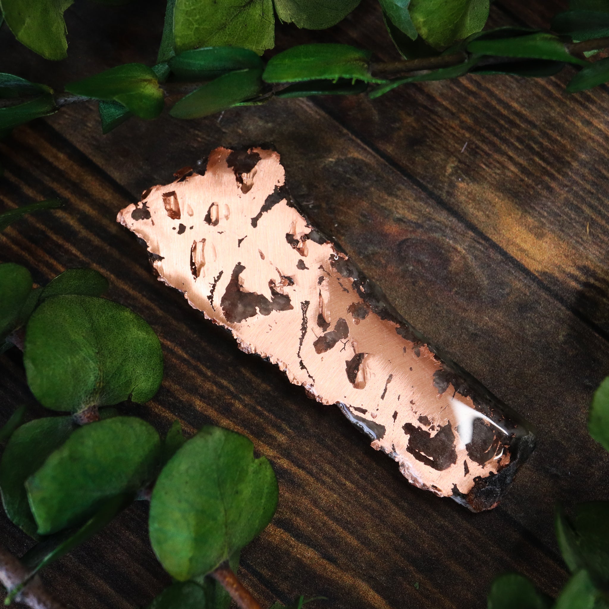 Michigan Native Copper Slice