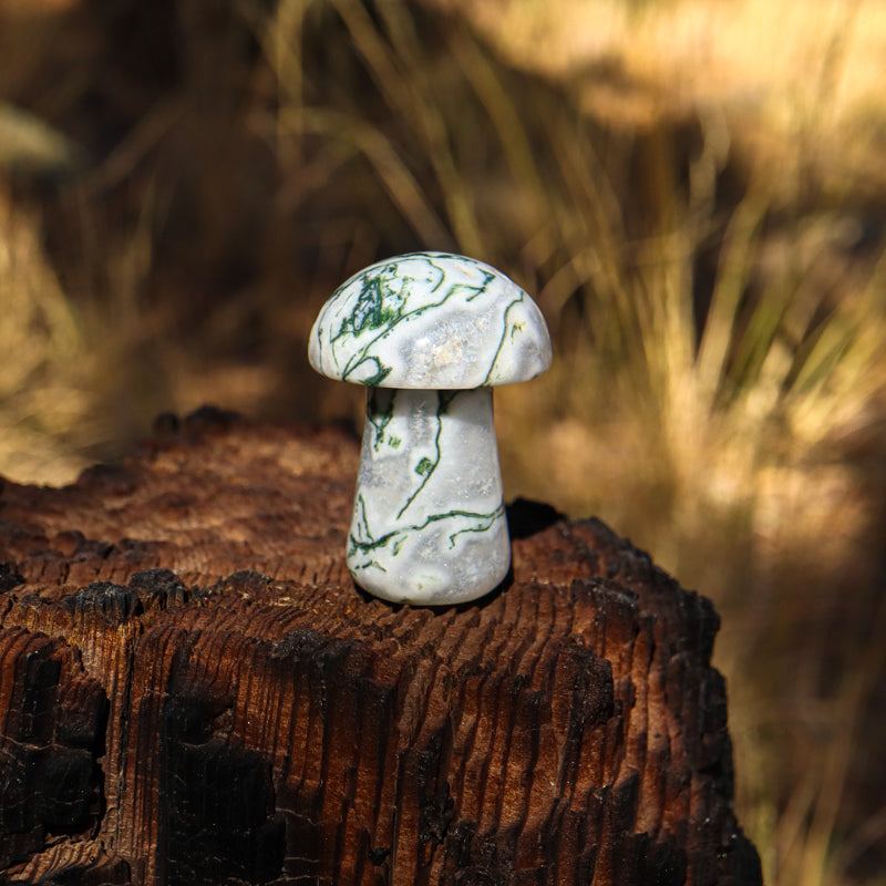 Moss Agate Carved Mushroom