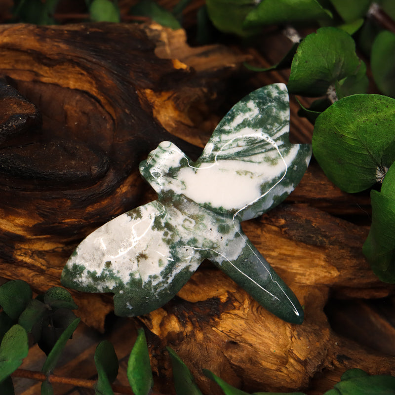 Moss Agate Carved Dragonfly