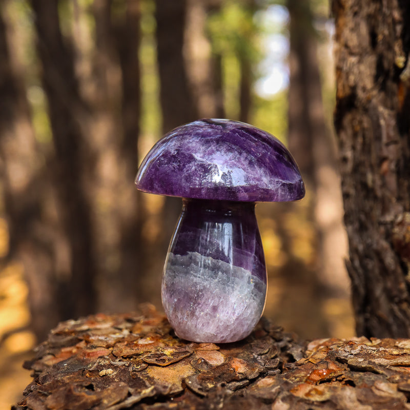 Crystal Mushroom Trees Crystal Mushroom Trees