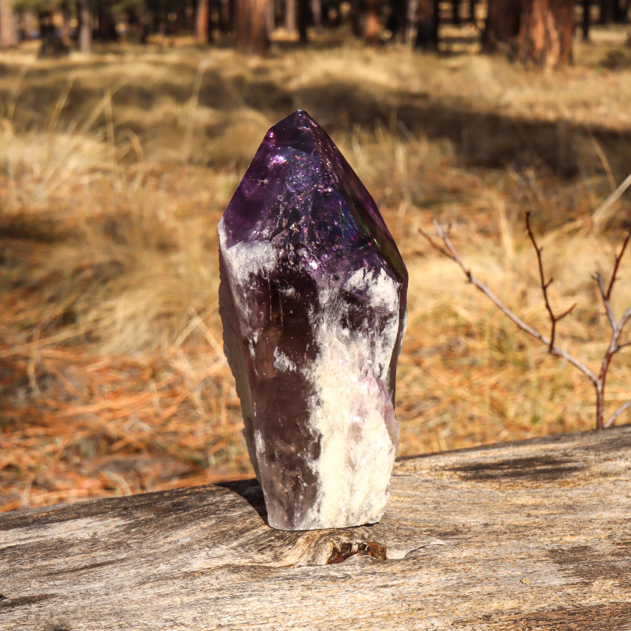 Large Natural Amethyst Point