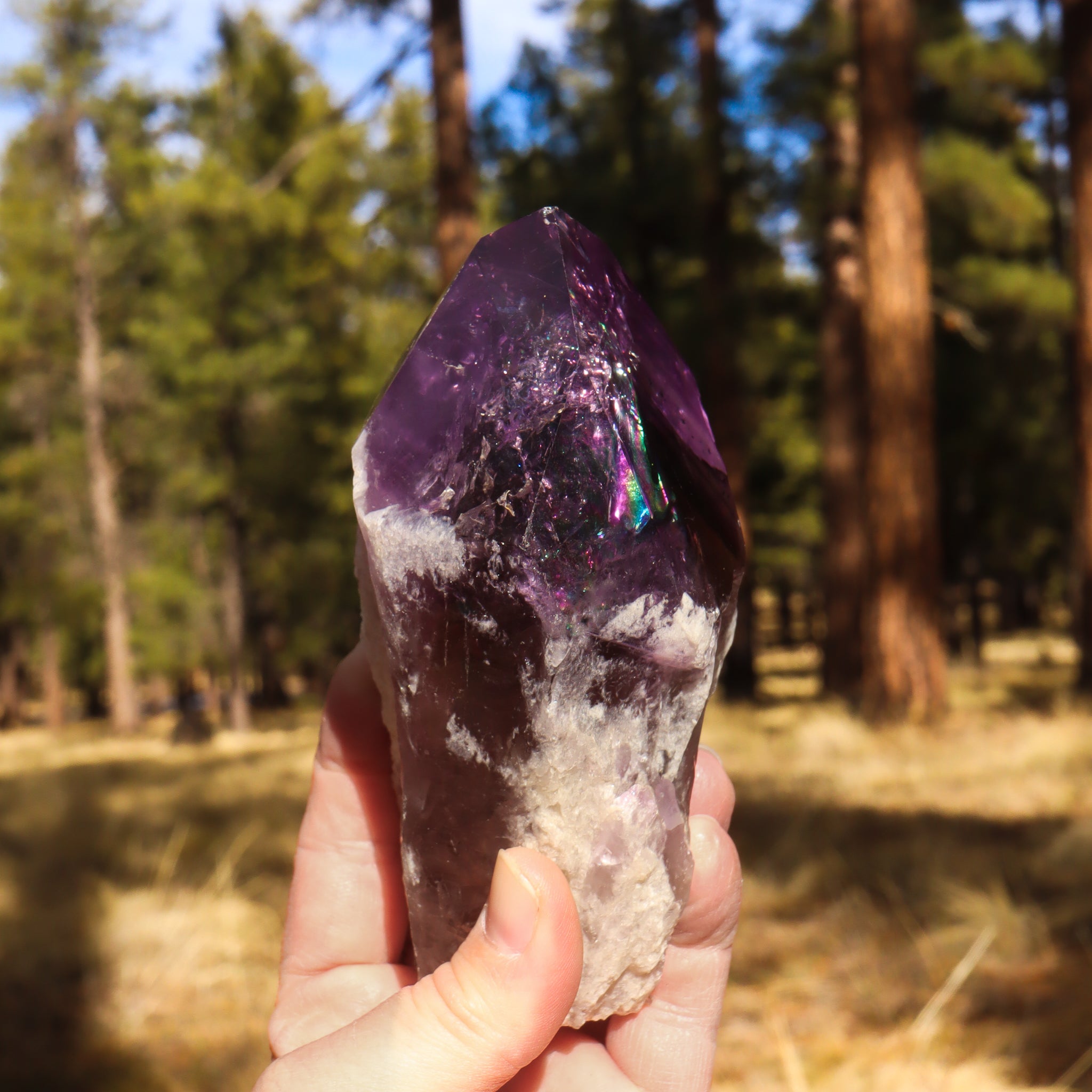 Large Natural Amethyst Point