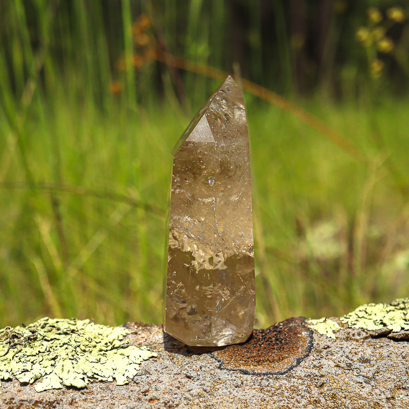 Natural Citrine Point