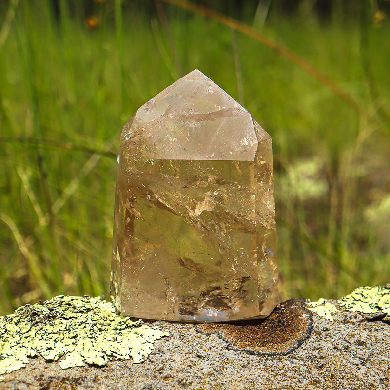 Natural Citrine Point