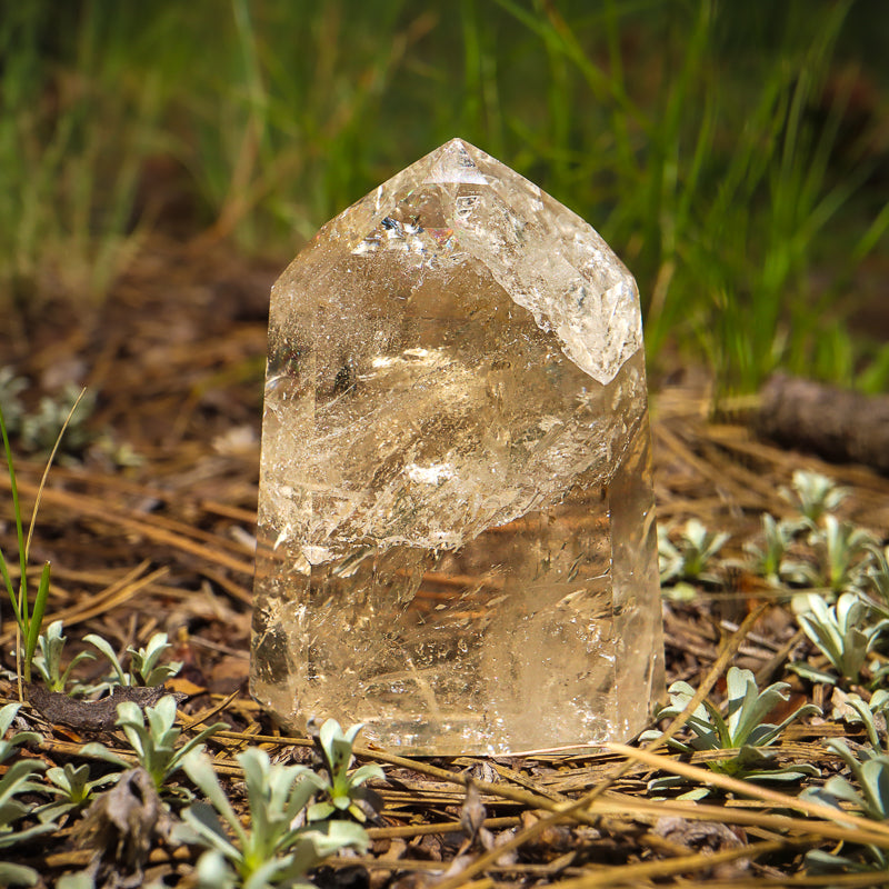 Natural Citrine Point