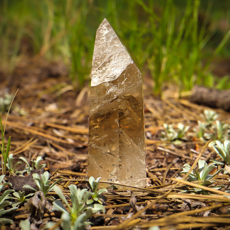 Natural Citrine Point