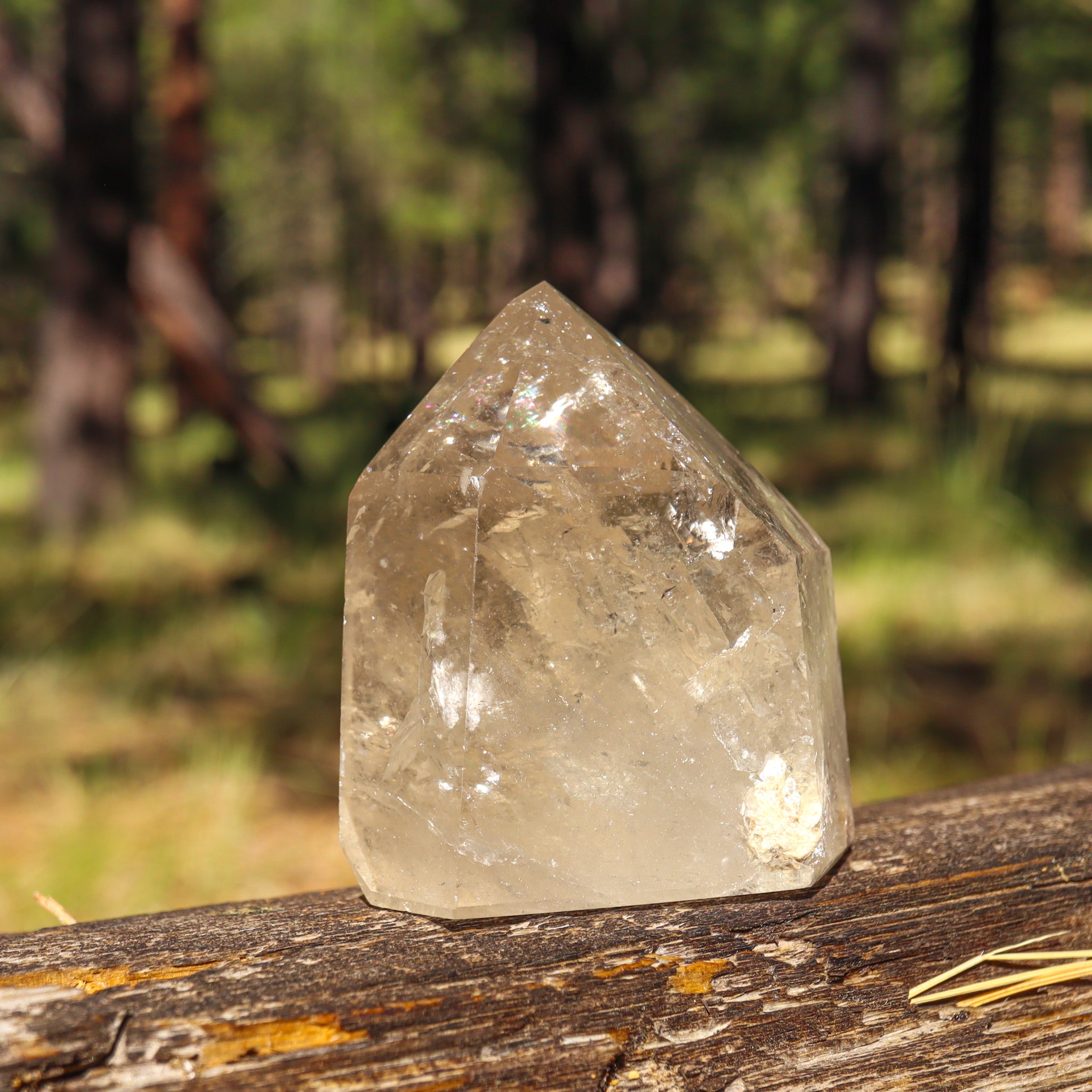 Natural Citrine Point