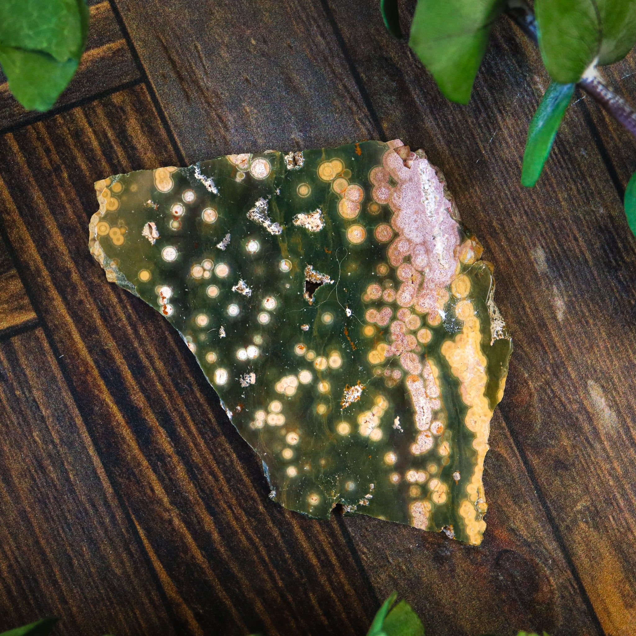 Ocean Jasper Polished Slice