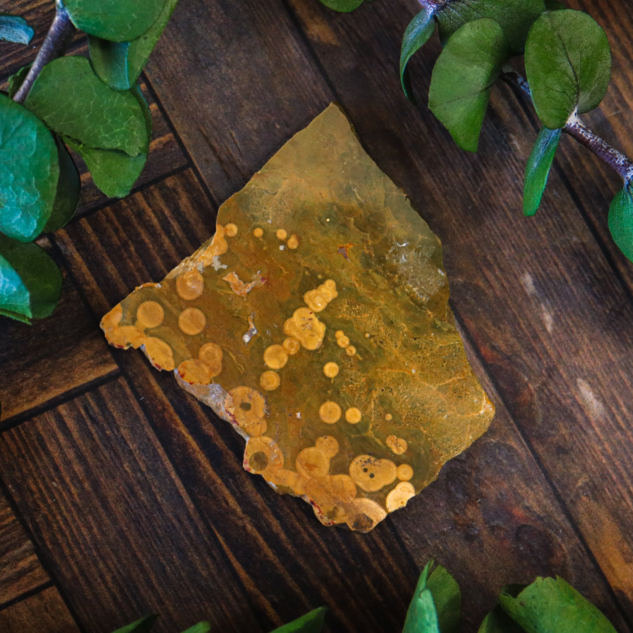 Ocean Jasper Polished Slice