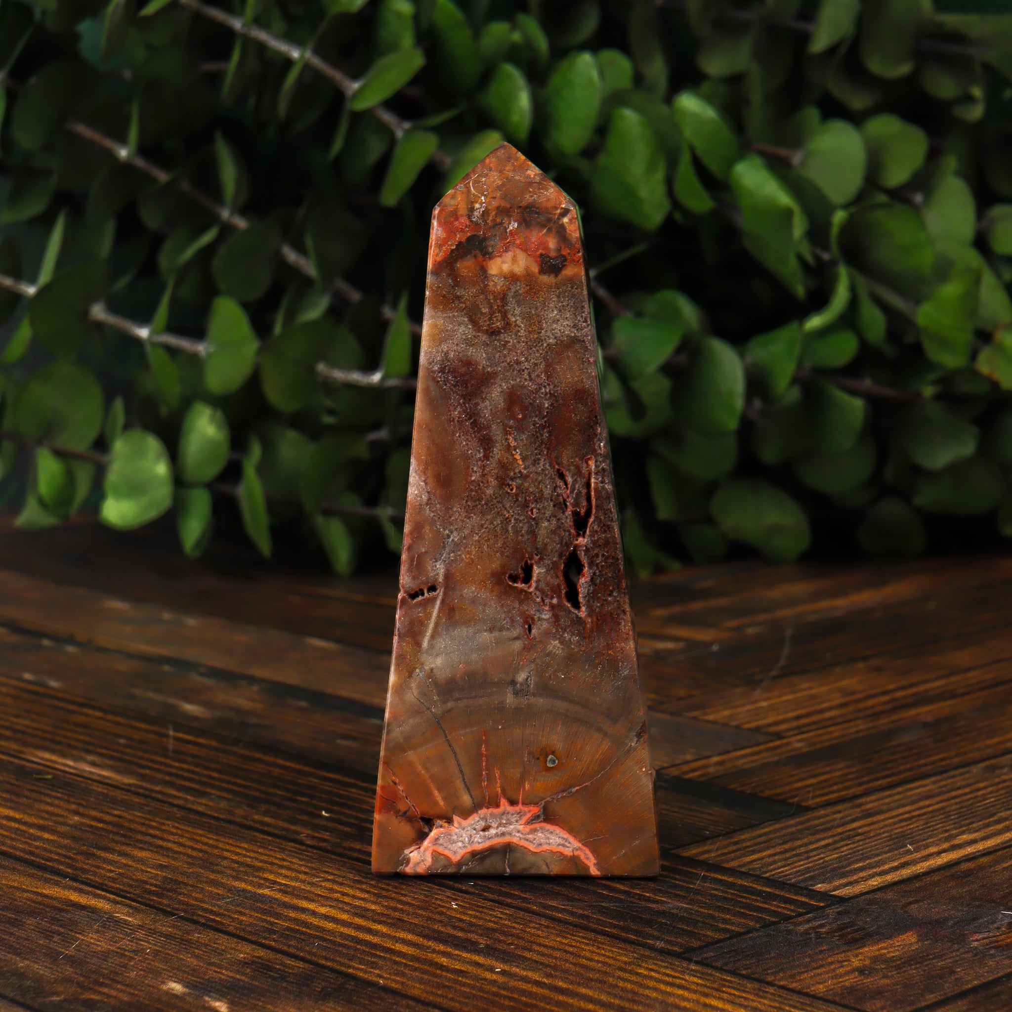 Petrified Wood Obelisk