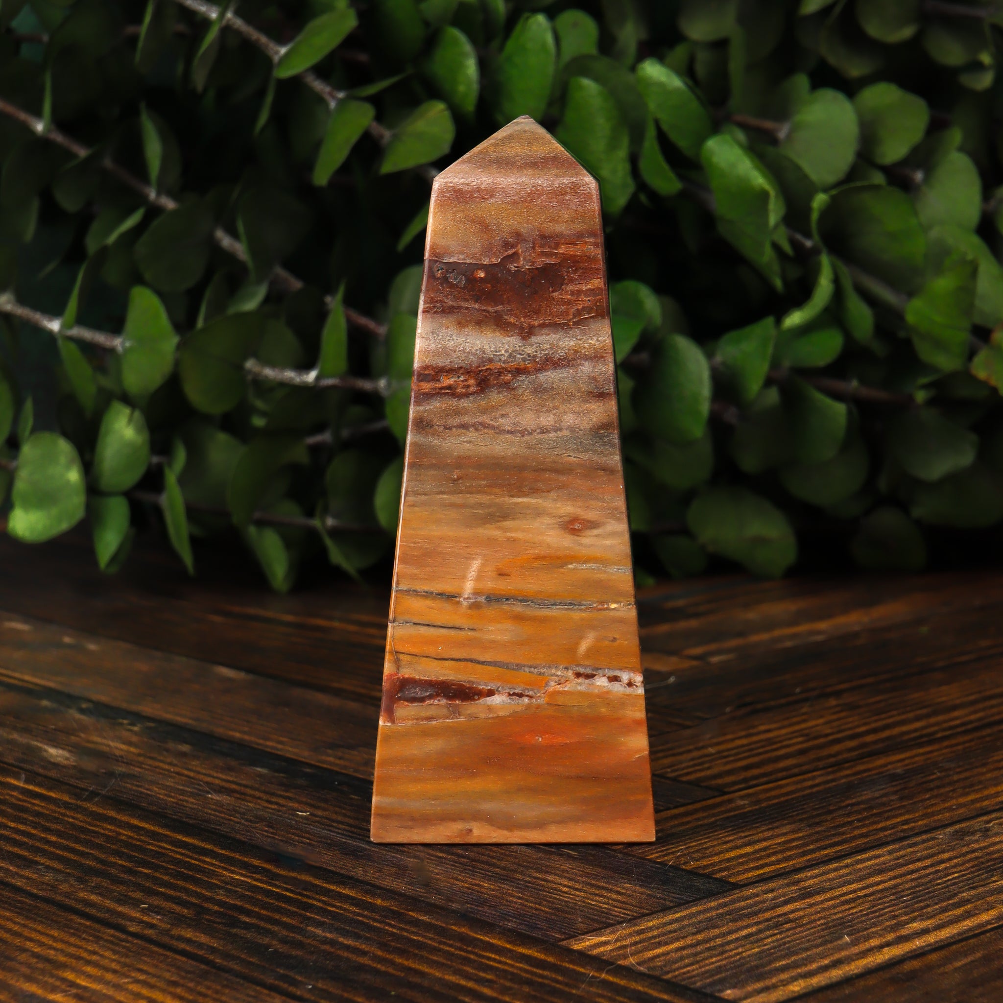 Petrified Wood Obelisk