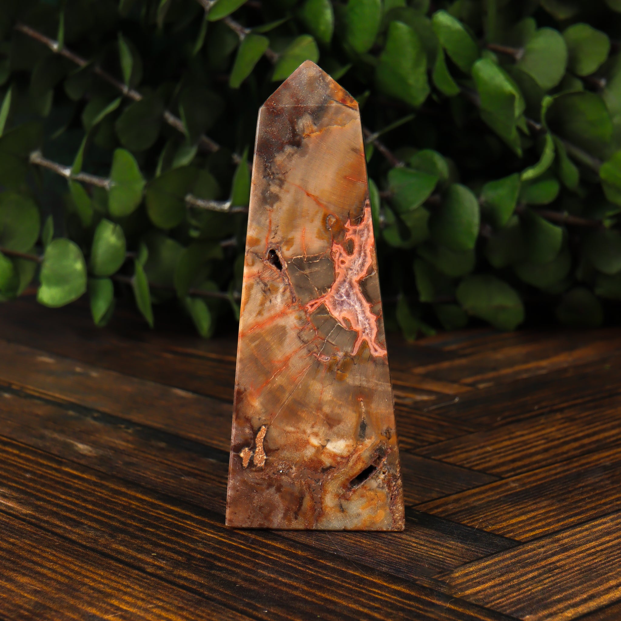 Petrified Wood Obelisk