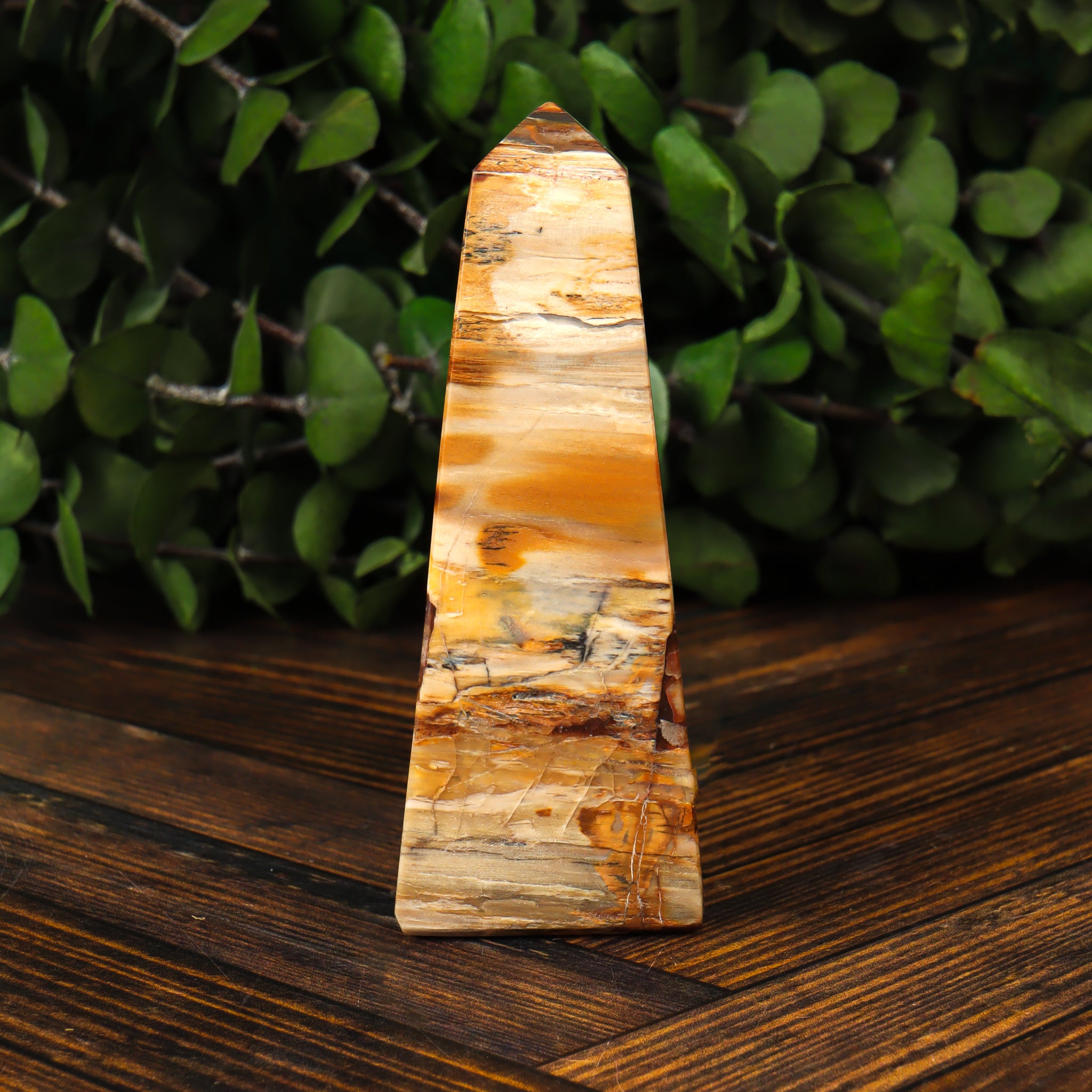 Petrified Wood Obelisk