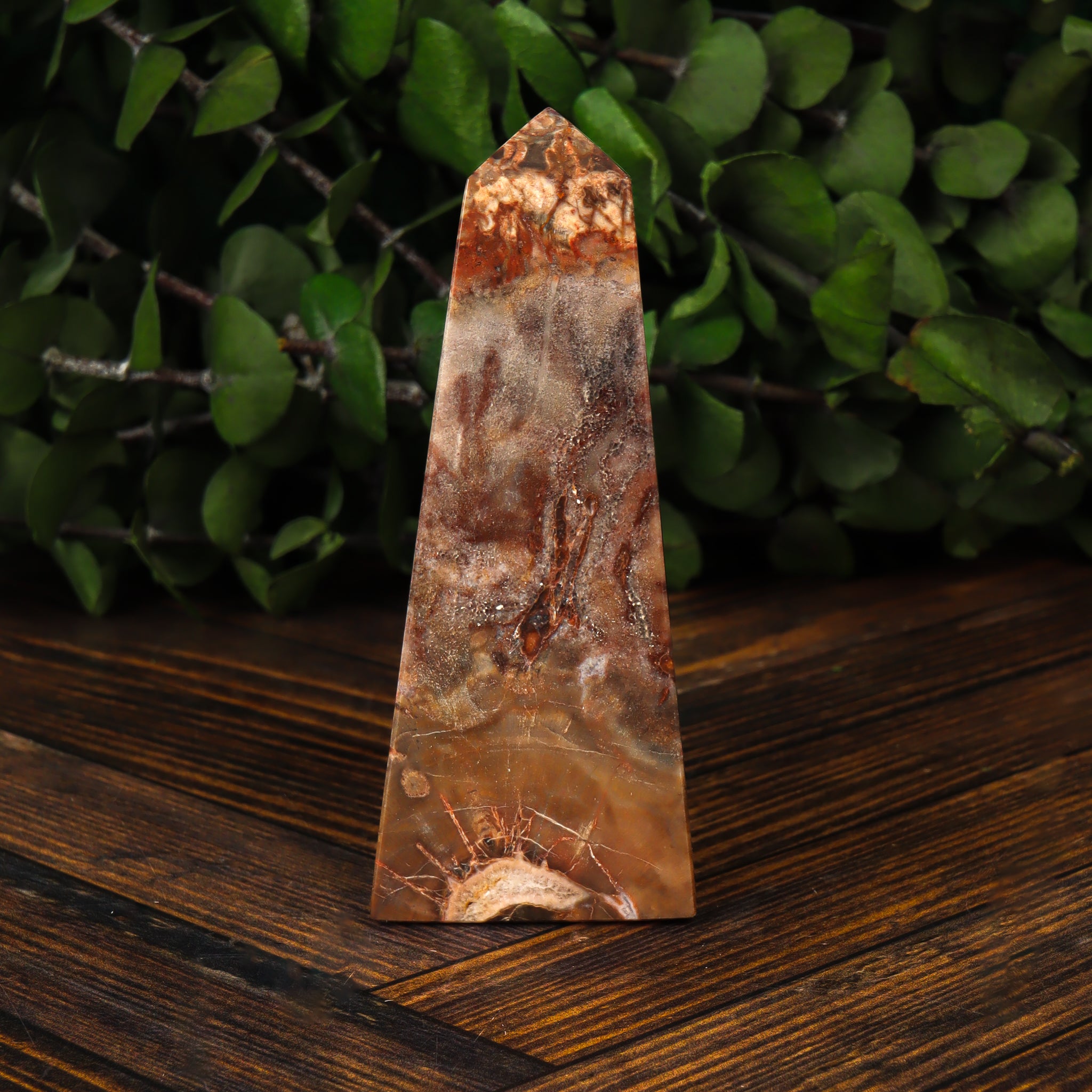 Petrified Wood Obelisk