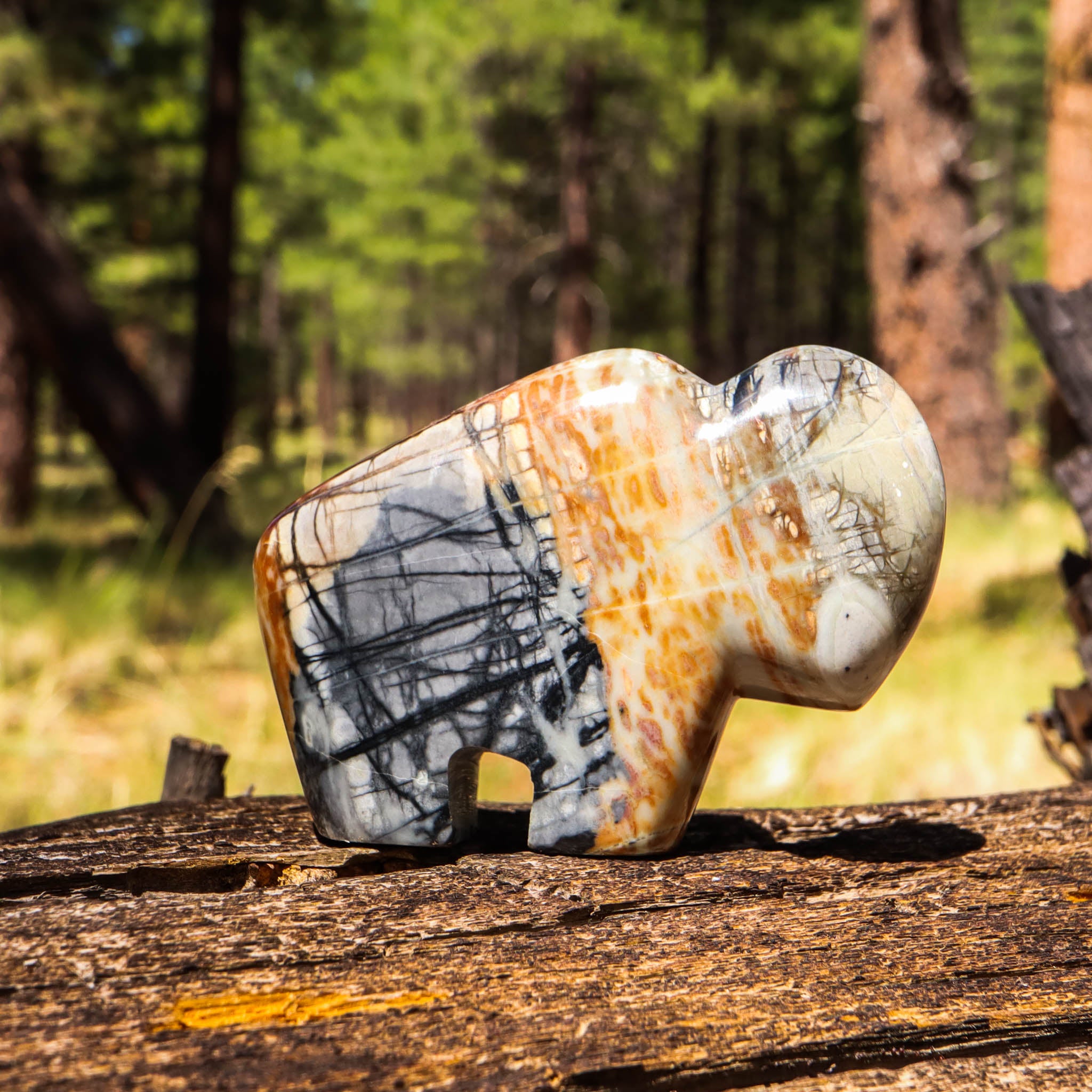 Petrified Wood Carved Buffalo