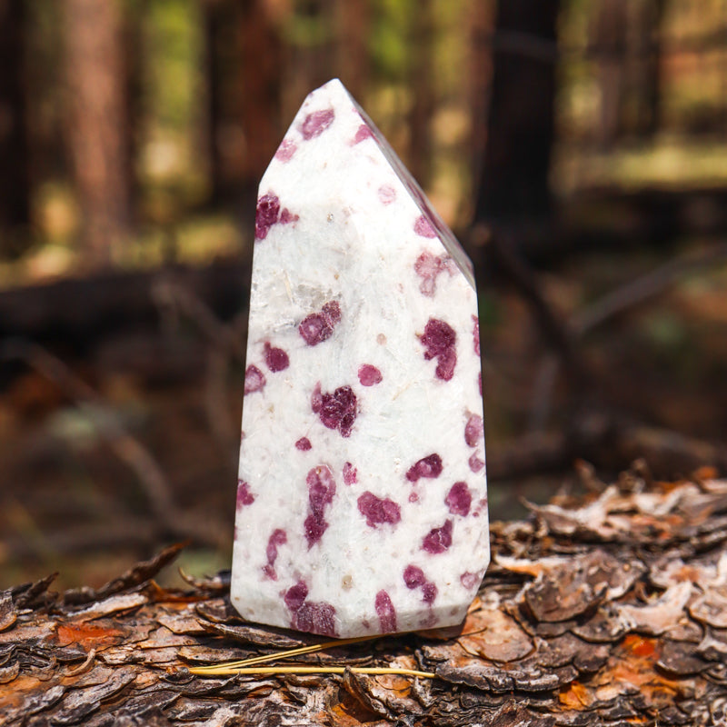 Pink Tourmaline in Quartz Point