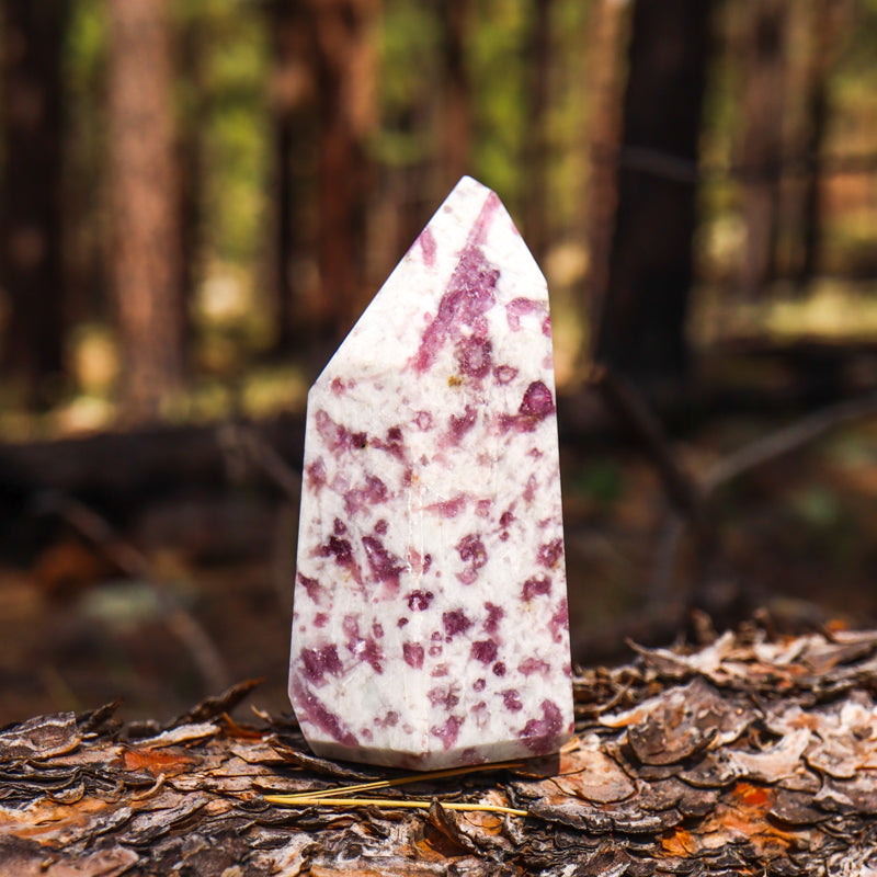 Pink Tourmaline in Quartz Point