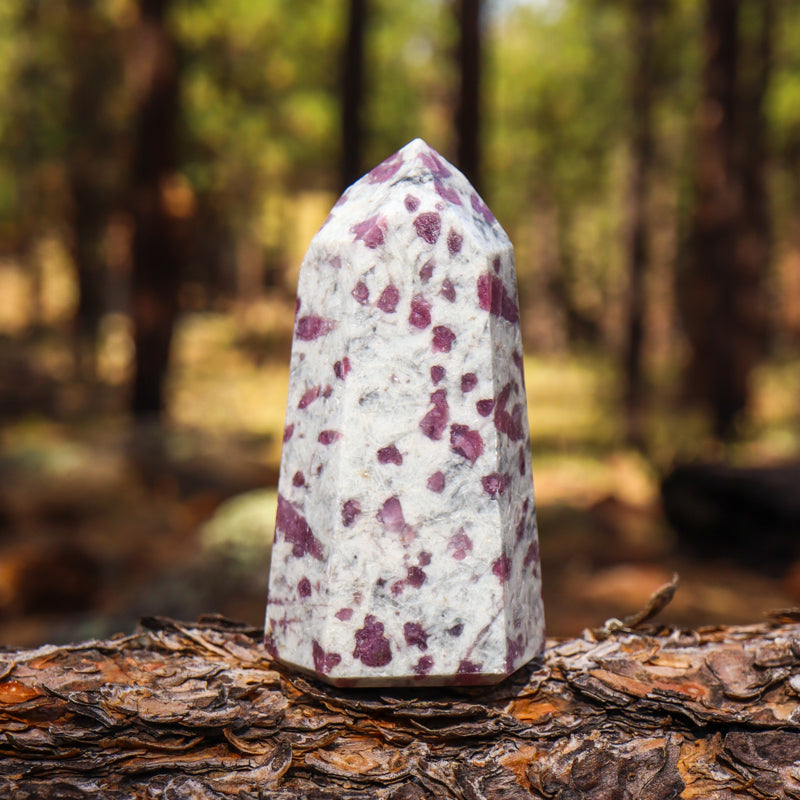 Pink Tourmaline in Quartz Point