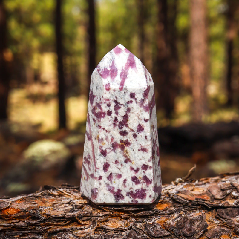 Pink Tourmaline in Quartz Point