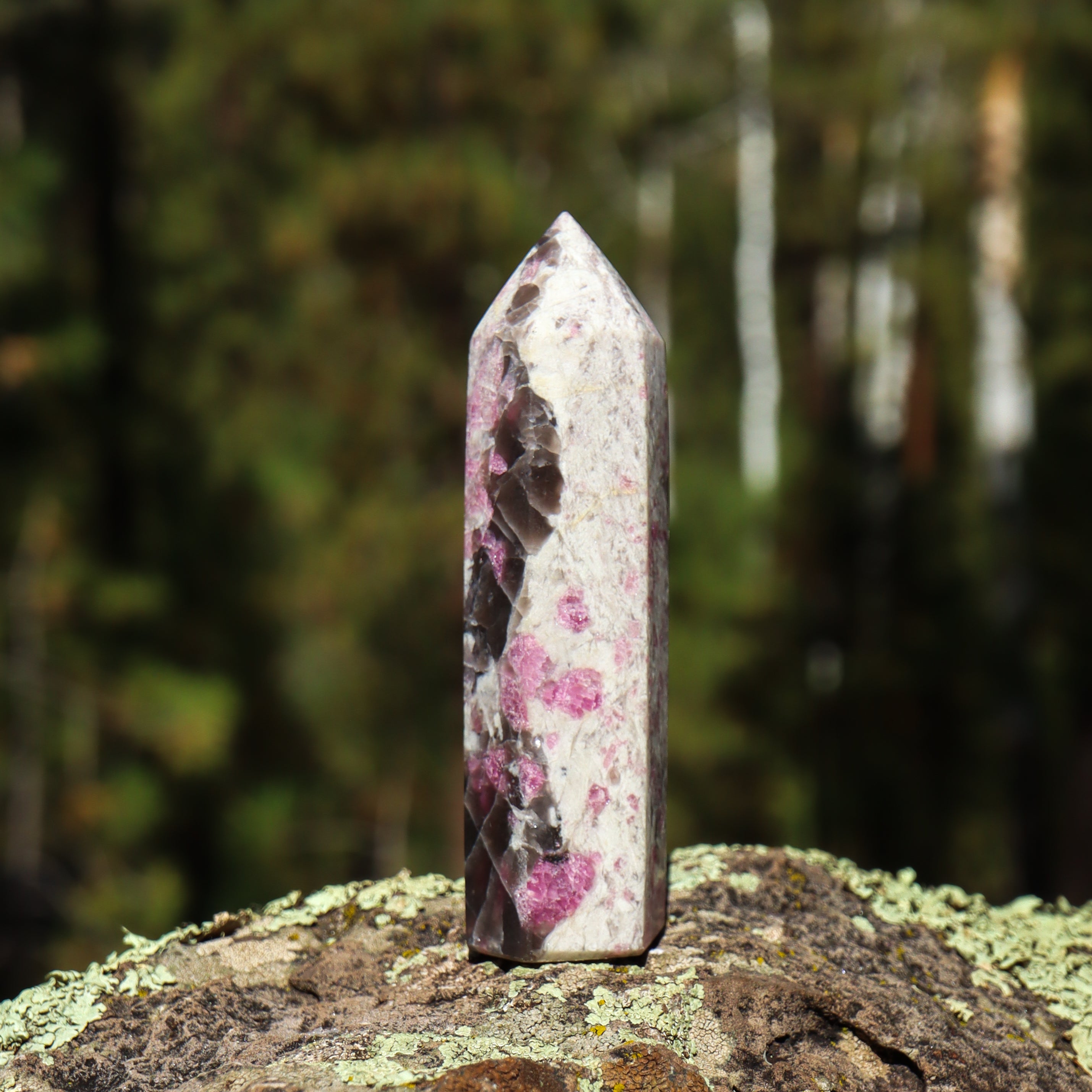 Pink Tourmaline in Matrix Point