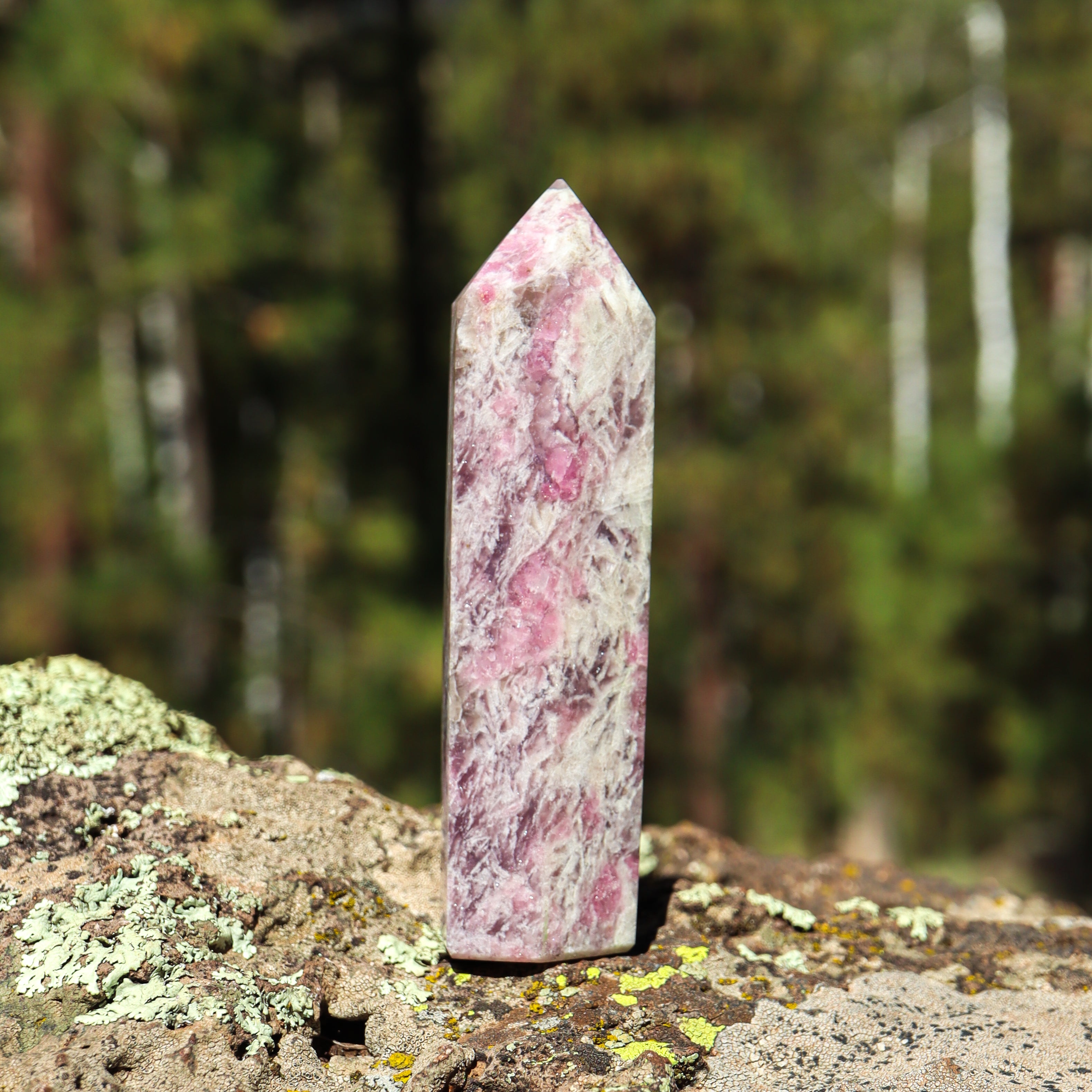 Pink Tourmaline in Matrix Point