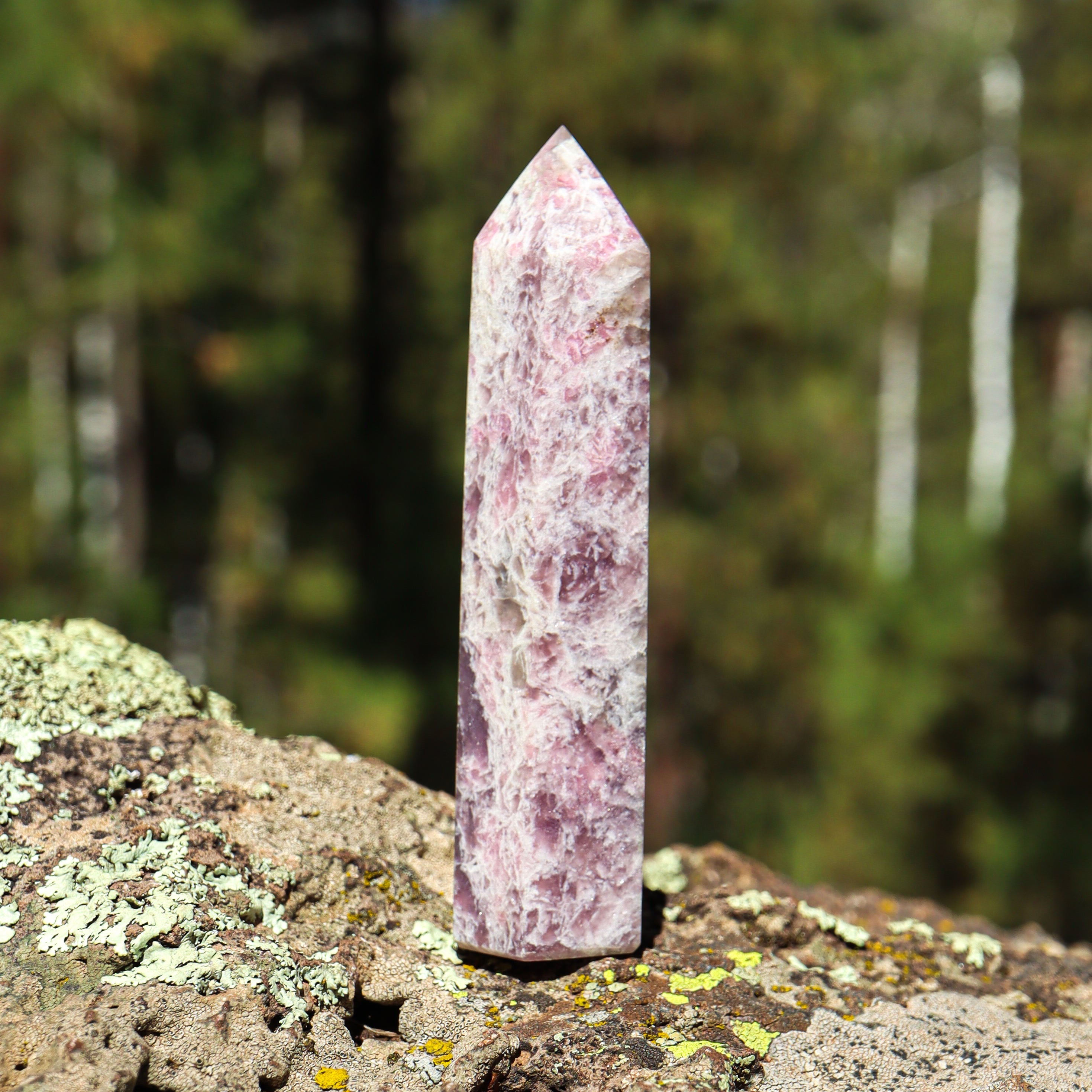 Pink Tourmaline in Matrix Point