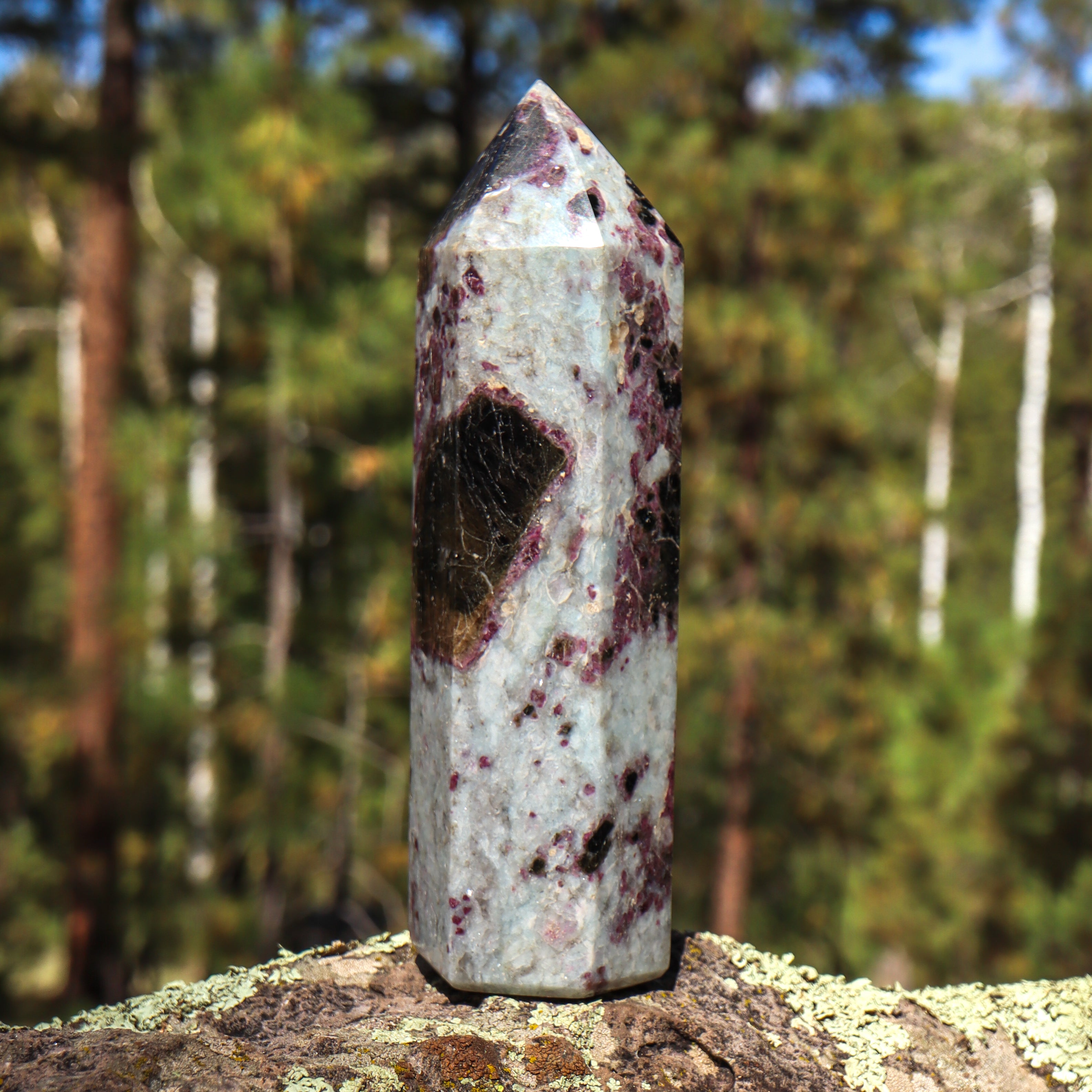Pink Tourmaline in Matrix Point